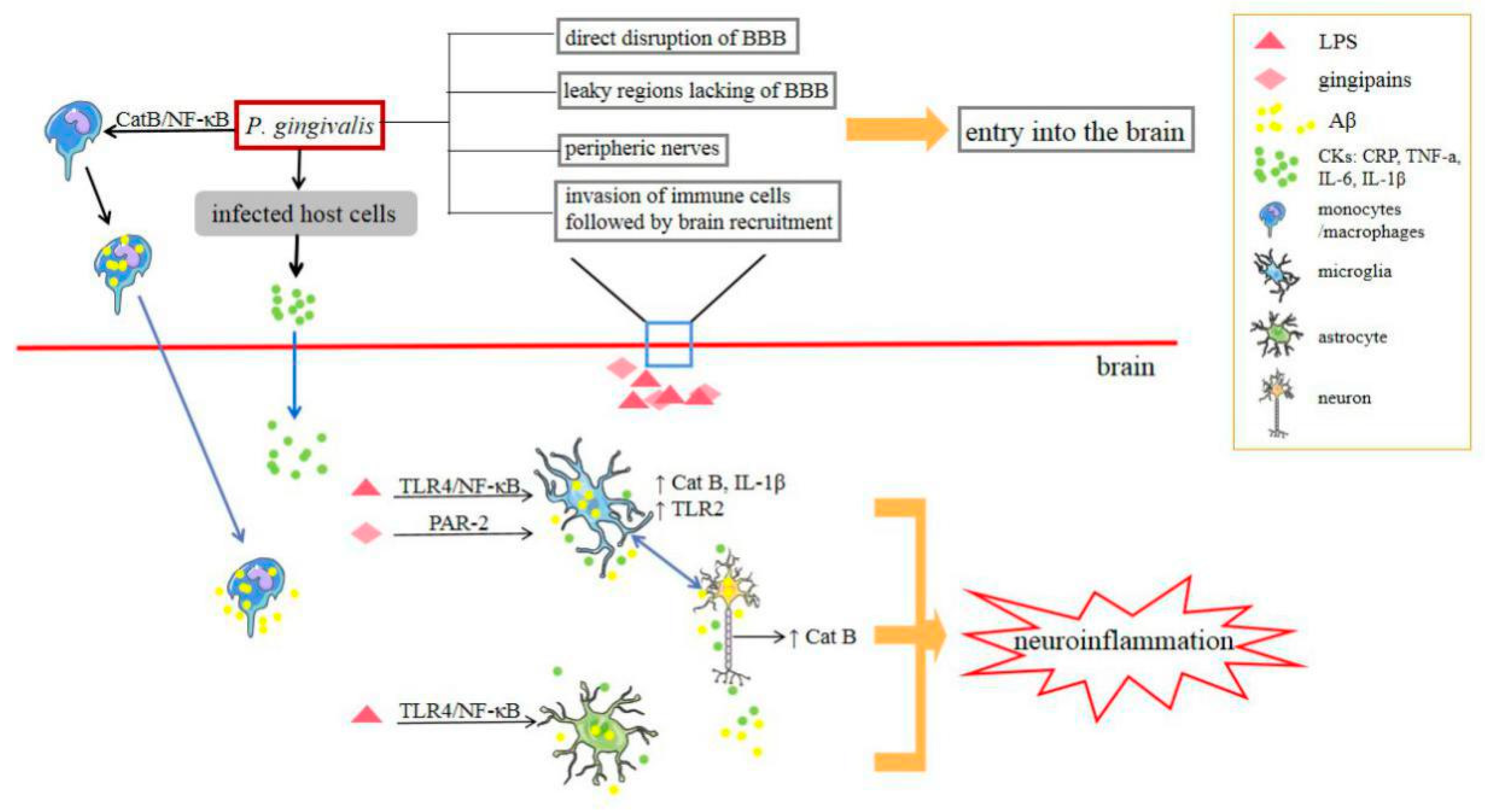 Pathogens 09 00944 g003 Pathogens 09 00944 g003