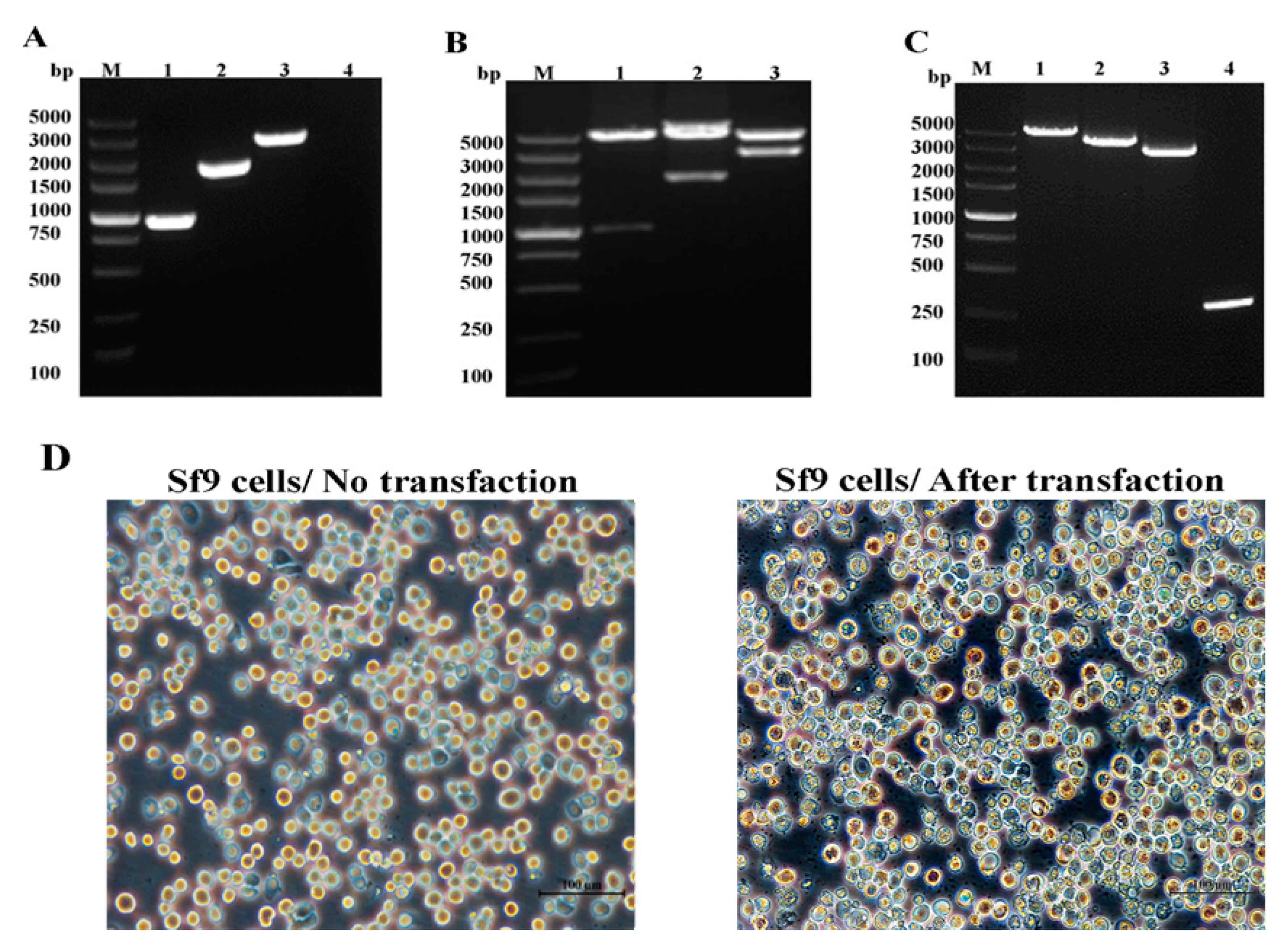 Pathogens 09 00945 g002