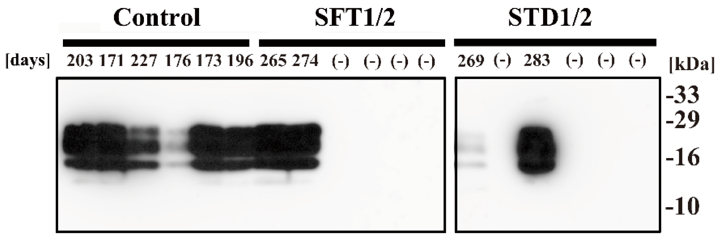 Pathogens 09 00947 g004 Pathogens 09 00947 g004