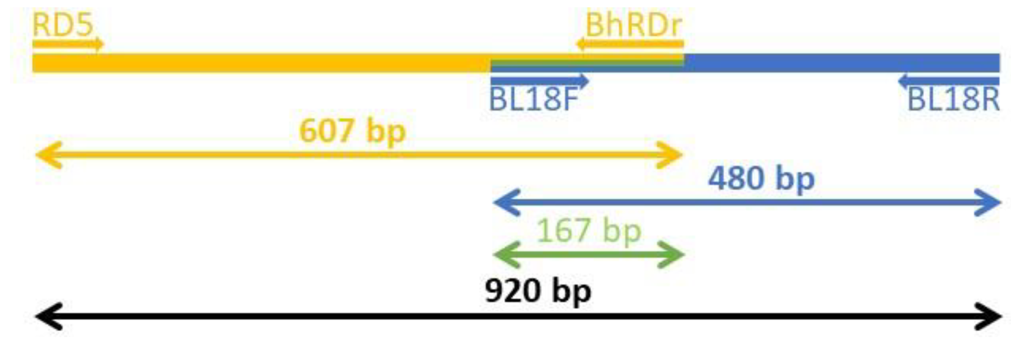 Pathogens 09 00955 g002