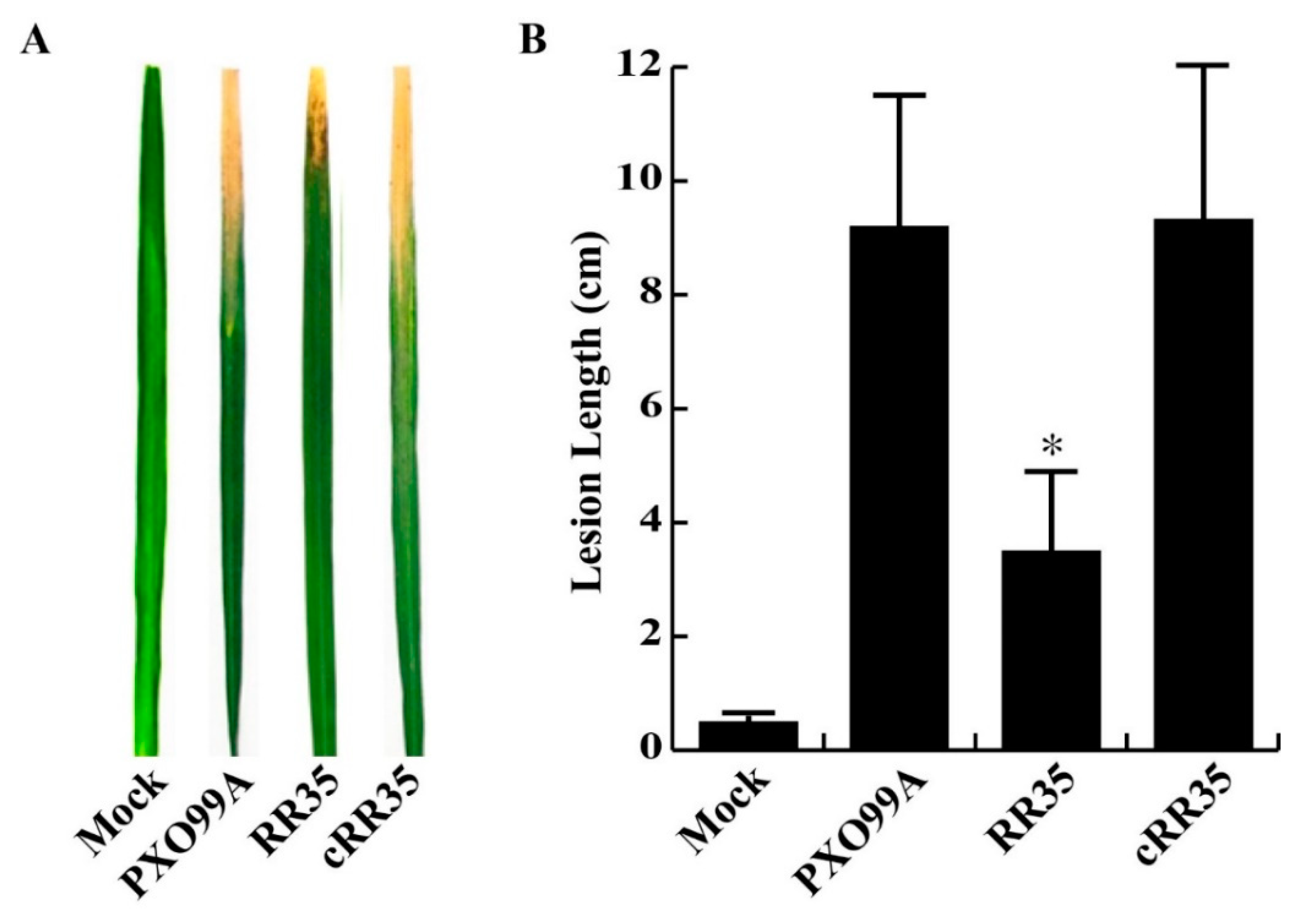 Pathogens 09 00956 g001