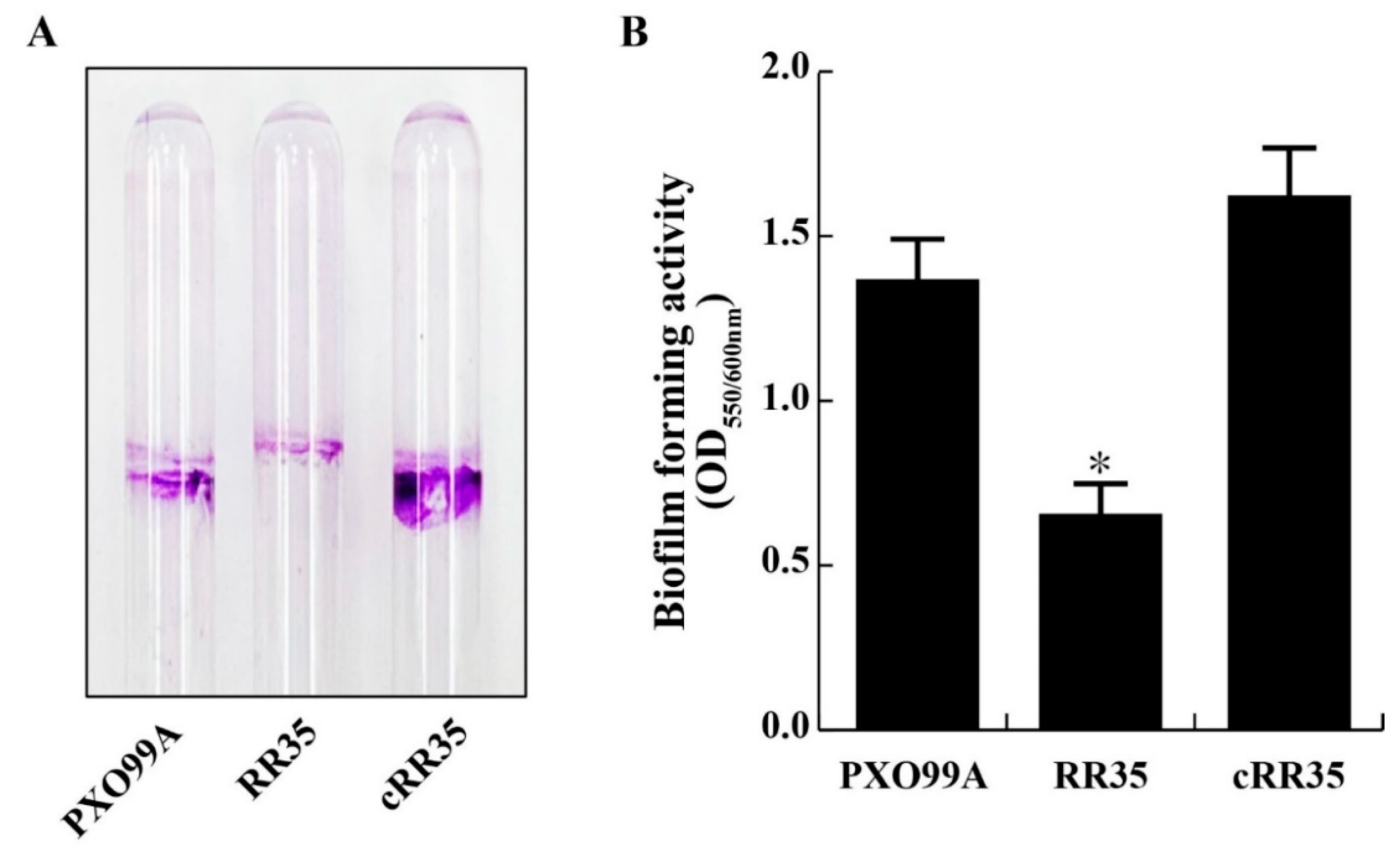 Pathogens 09 00956 g002