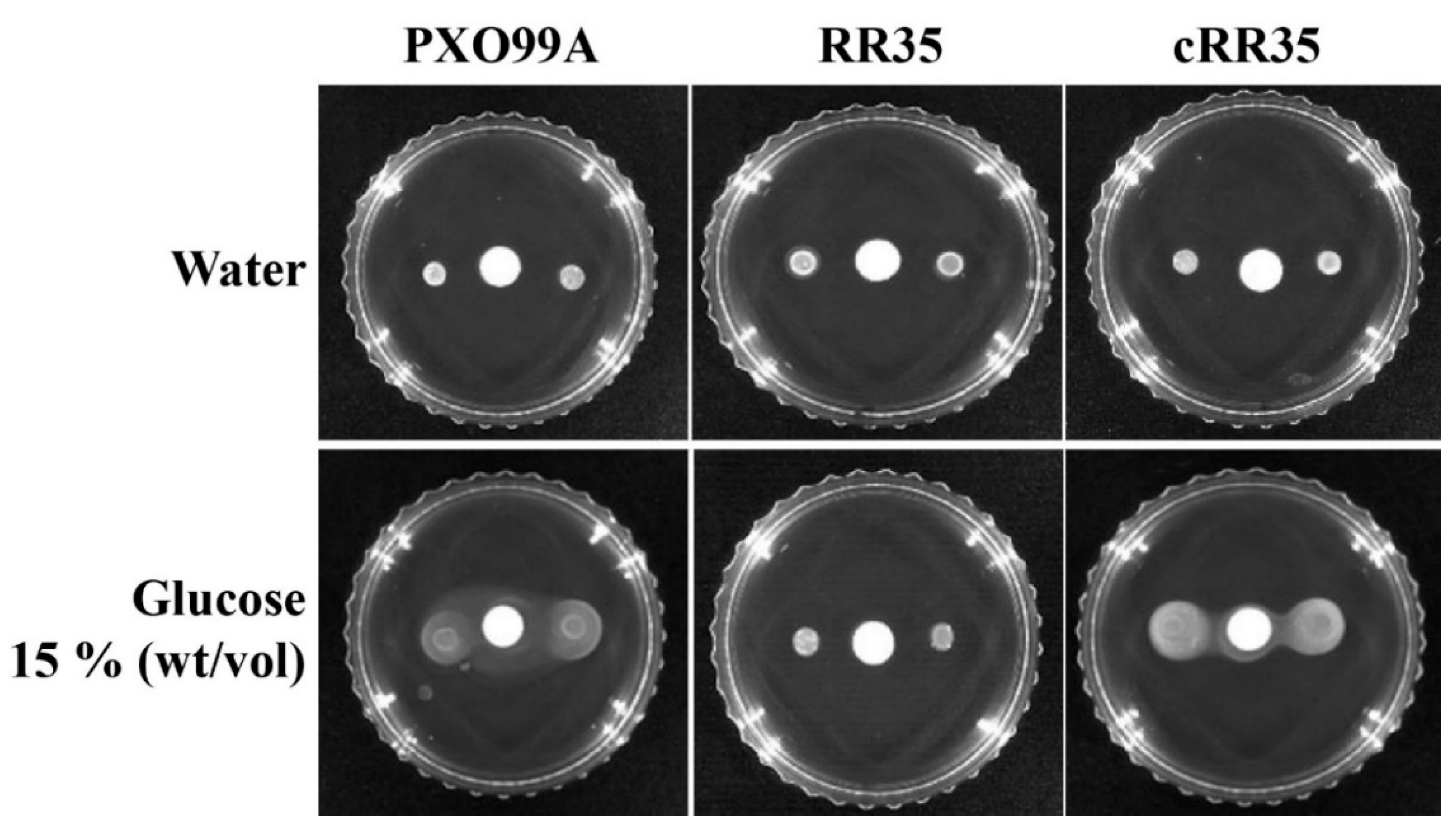 Pathogens 09 00956 g004