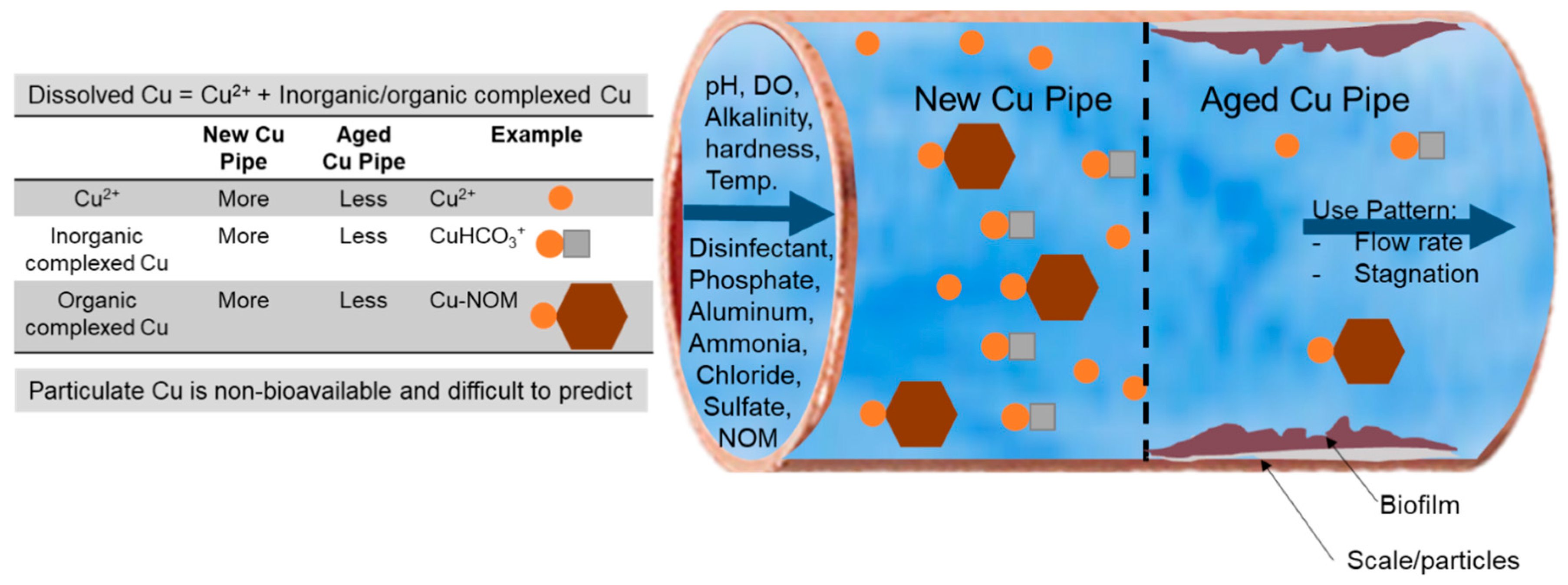 Pathogens 09 00957 g003