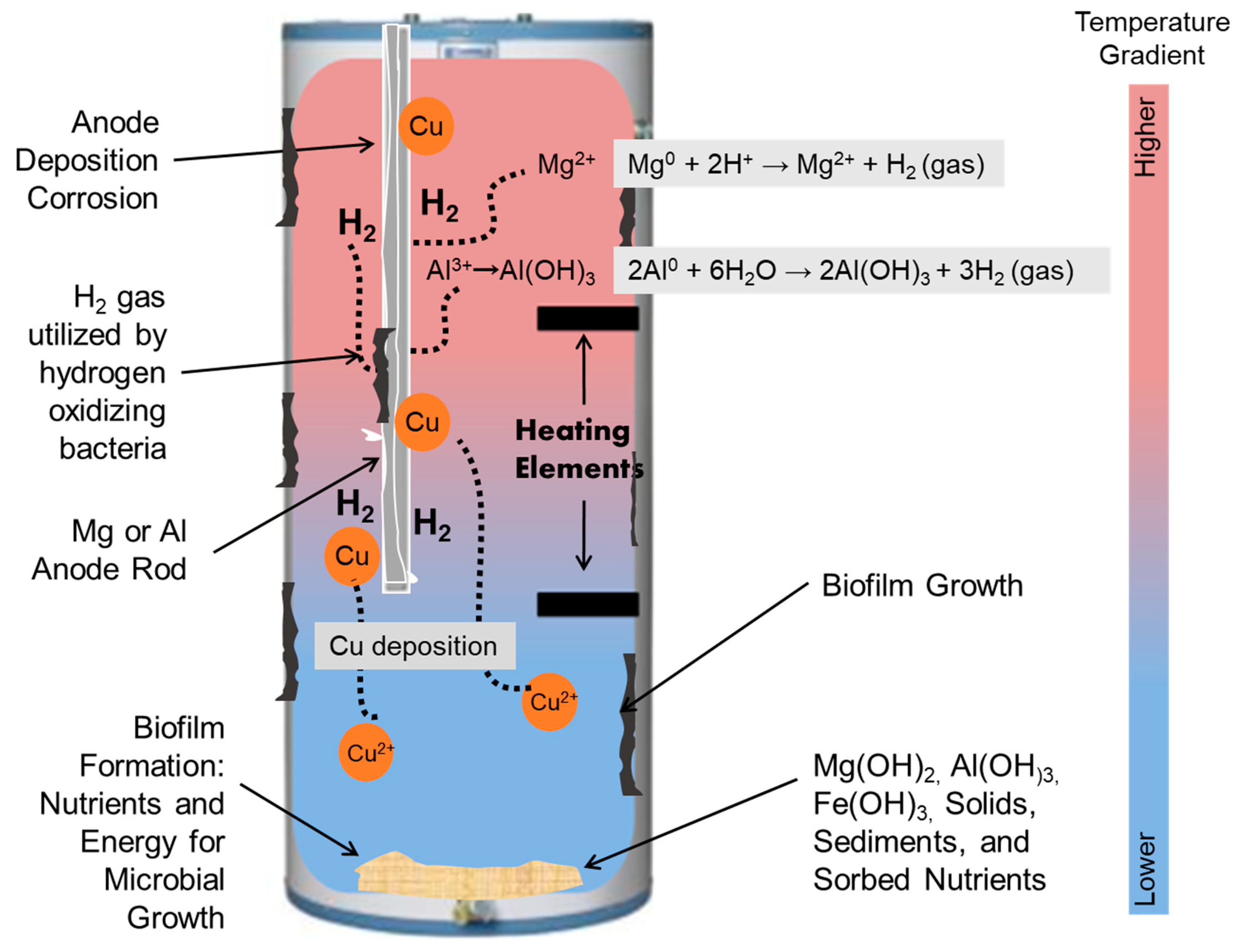 Pathogens 09 00957 g004