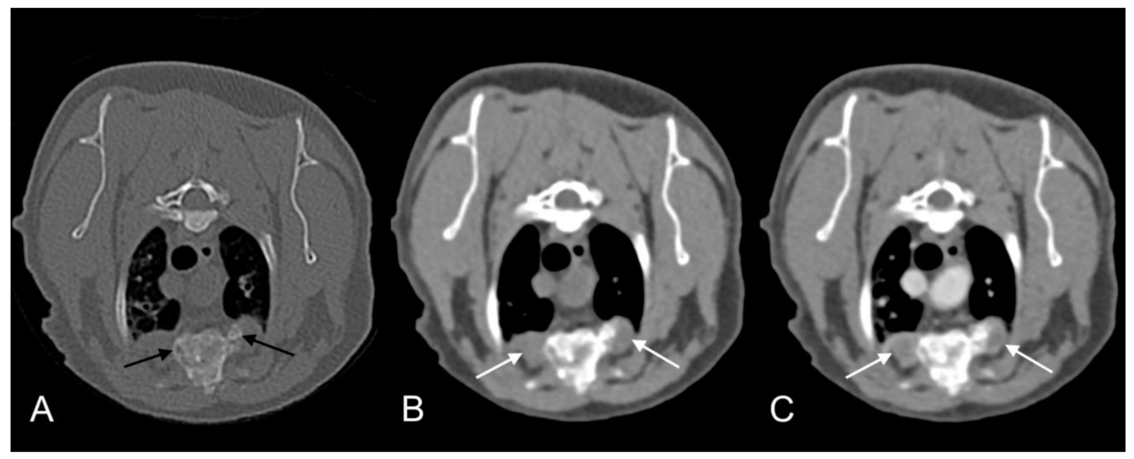 Pathogens 09 00959 g009