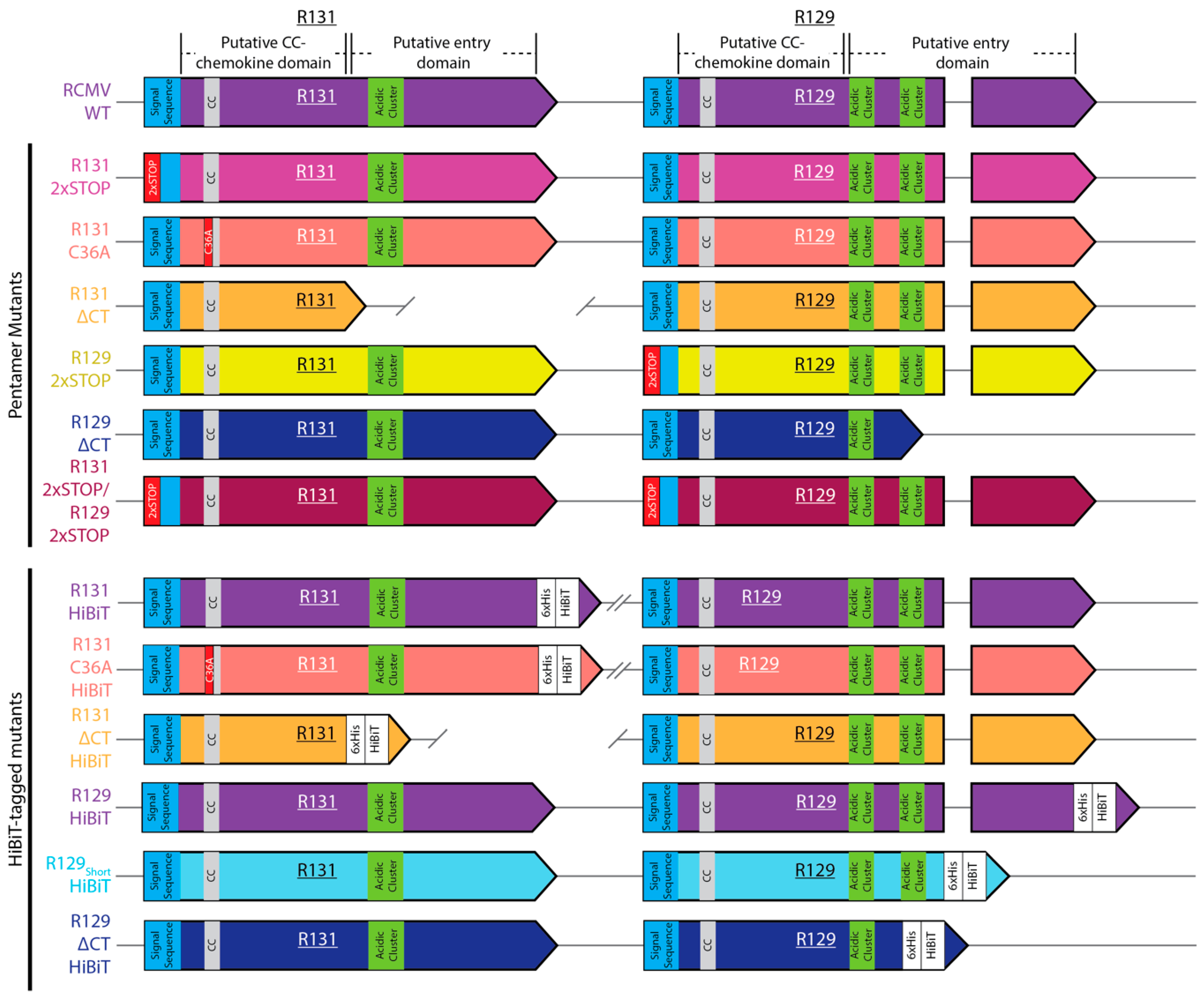 Pathogens 09 00963 g001 Pathogens 09 00963 g001