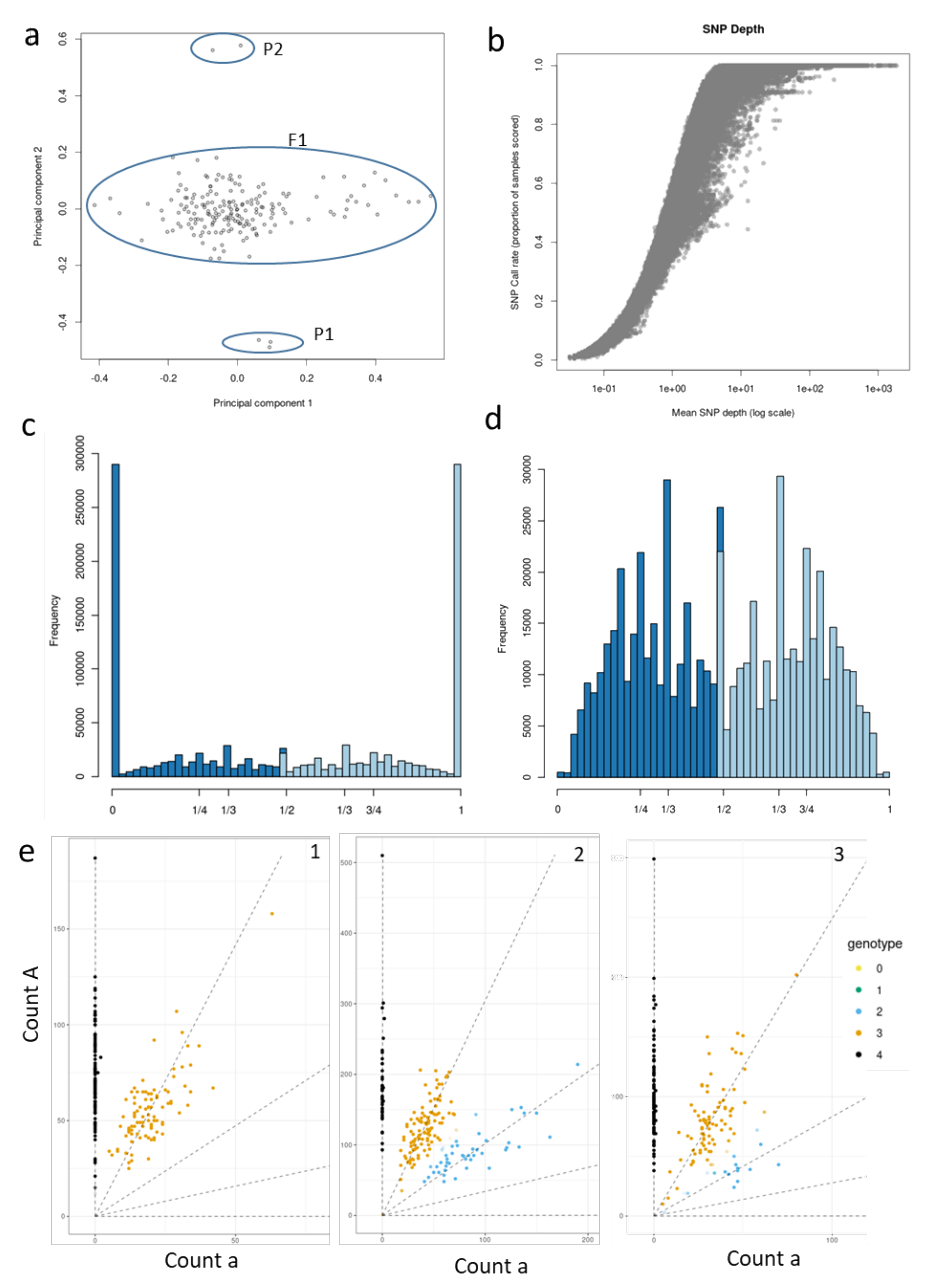 Pathogens 09 00967 g001