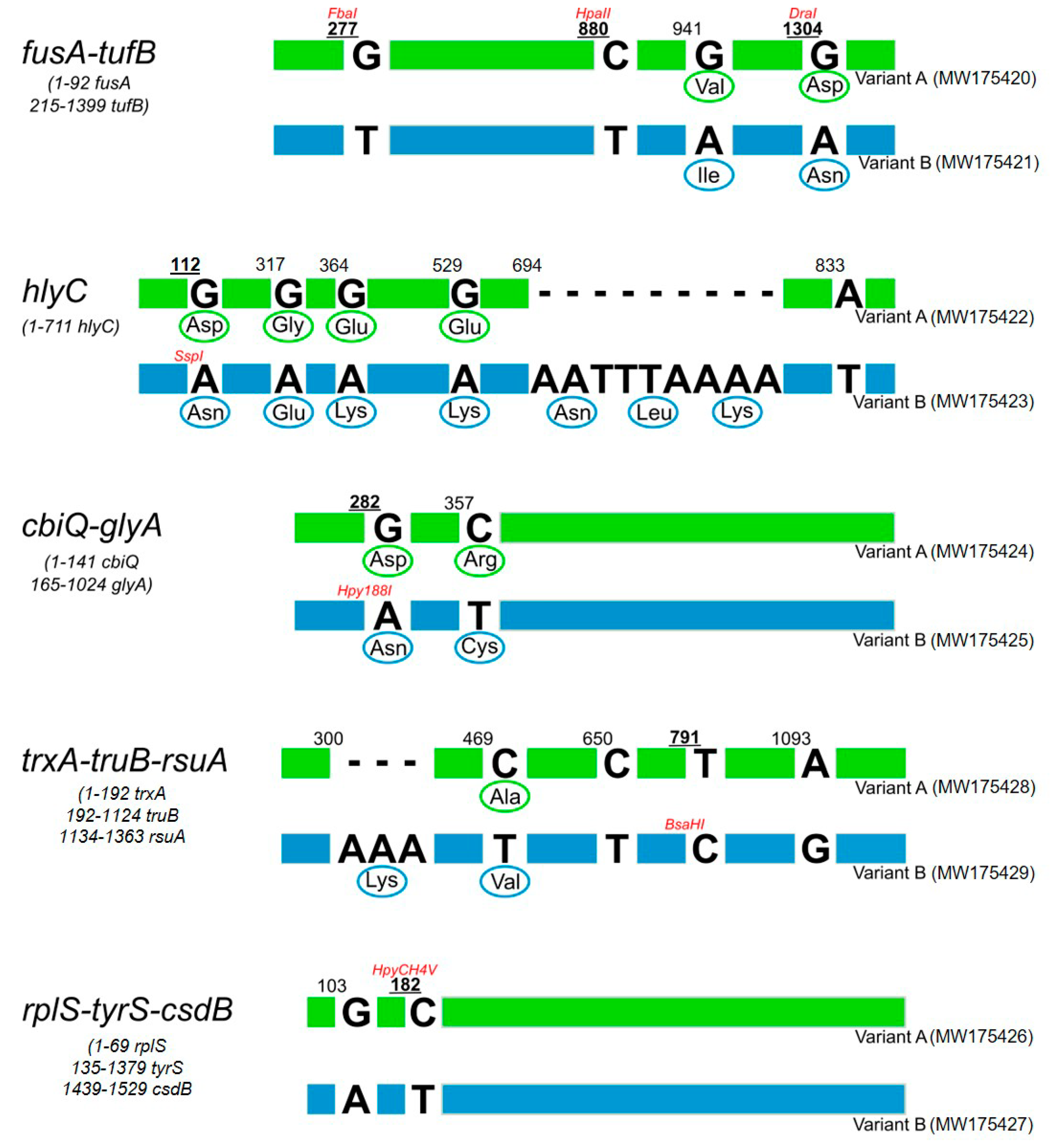 Pathogens 09 00970 g002