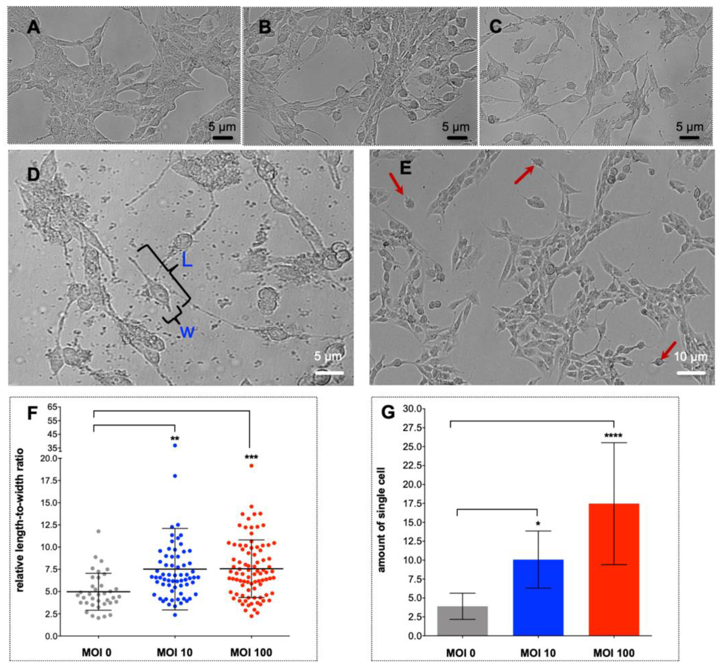 Pathogens 09 00971 g001 Pathogens 09 00971 g001