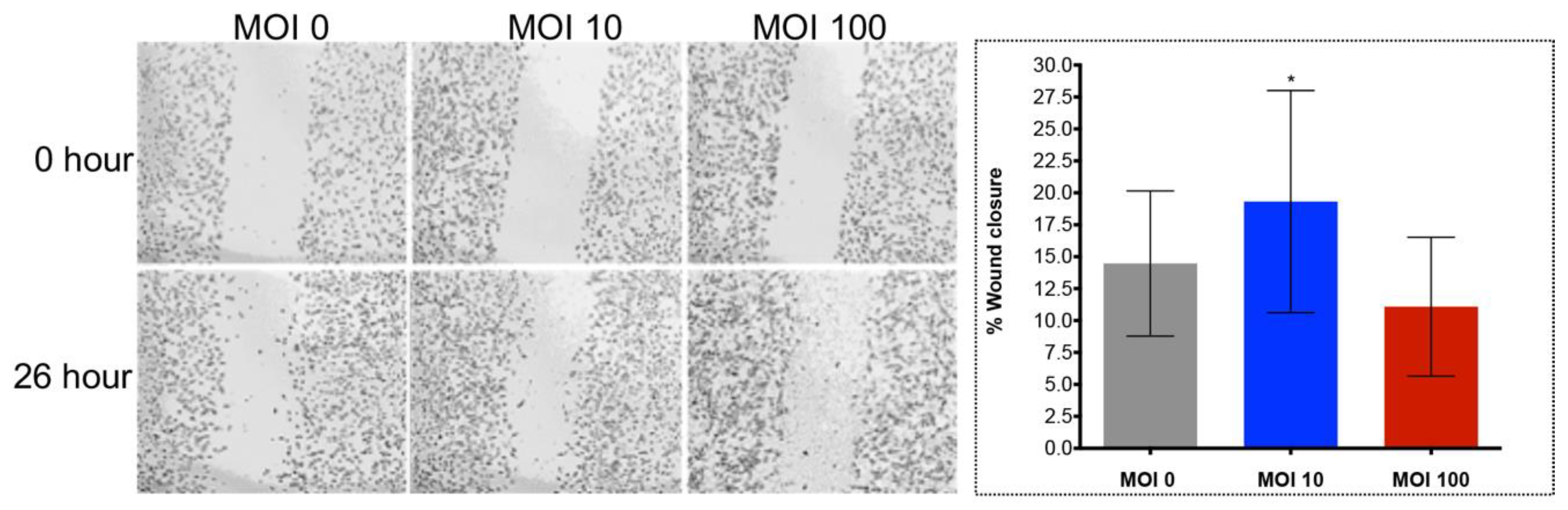 Pathogens 09 00971 g004 Pathogens 09 00971 g004