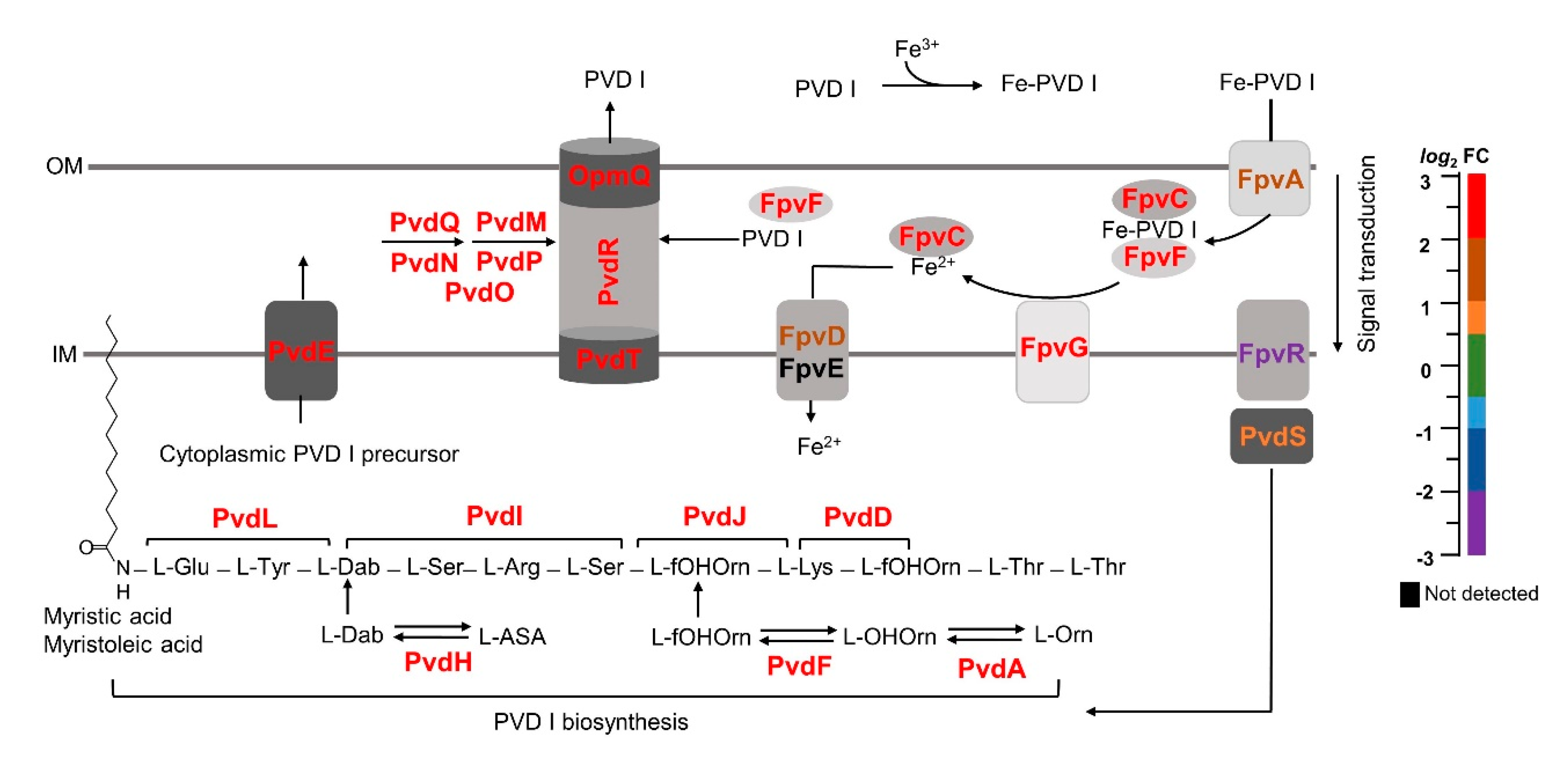 Pathogens 09 00980 g003