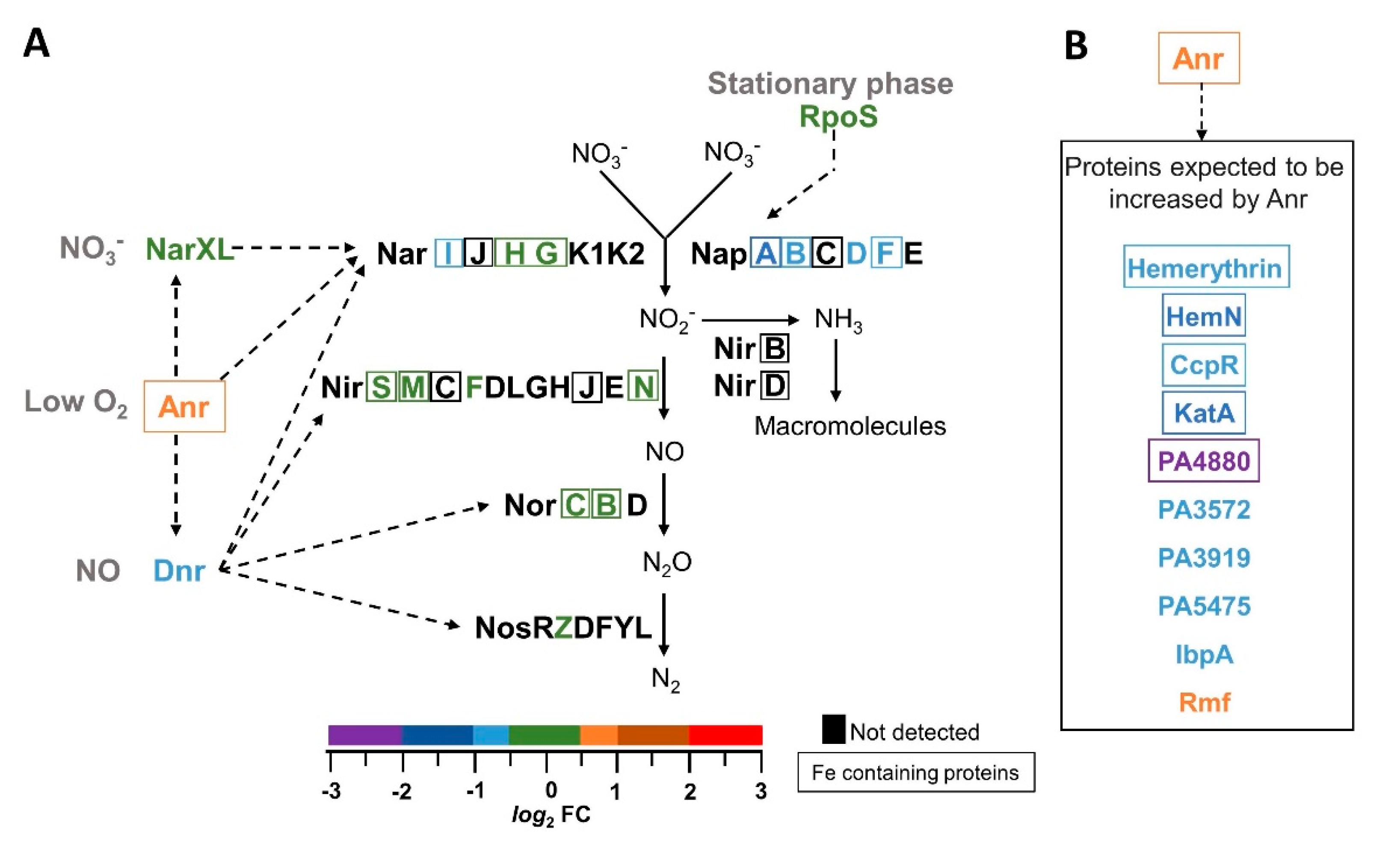 Pathogens 09 00980 g010