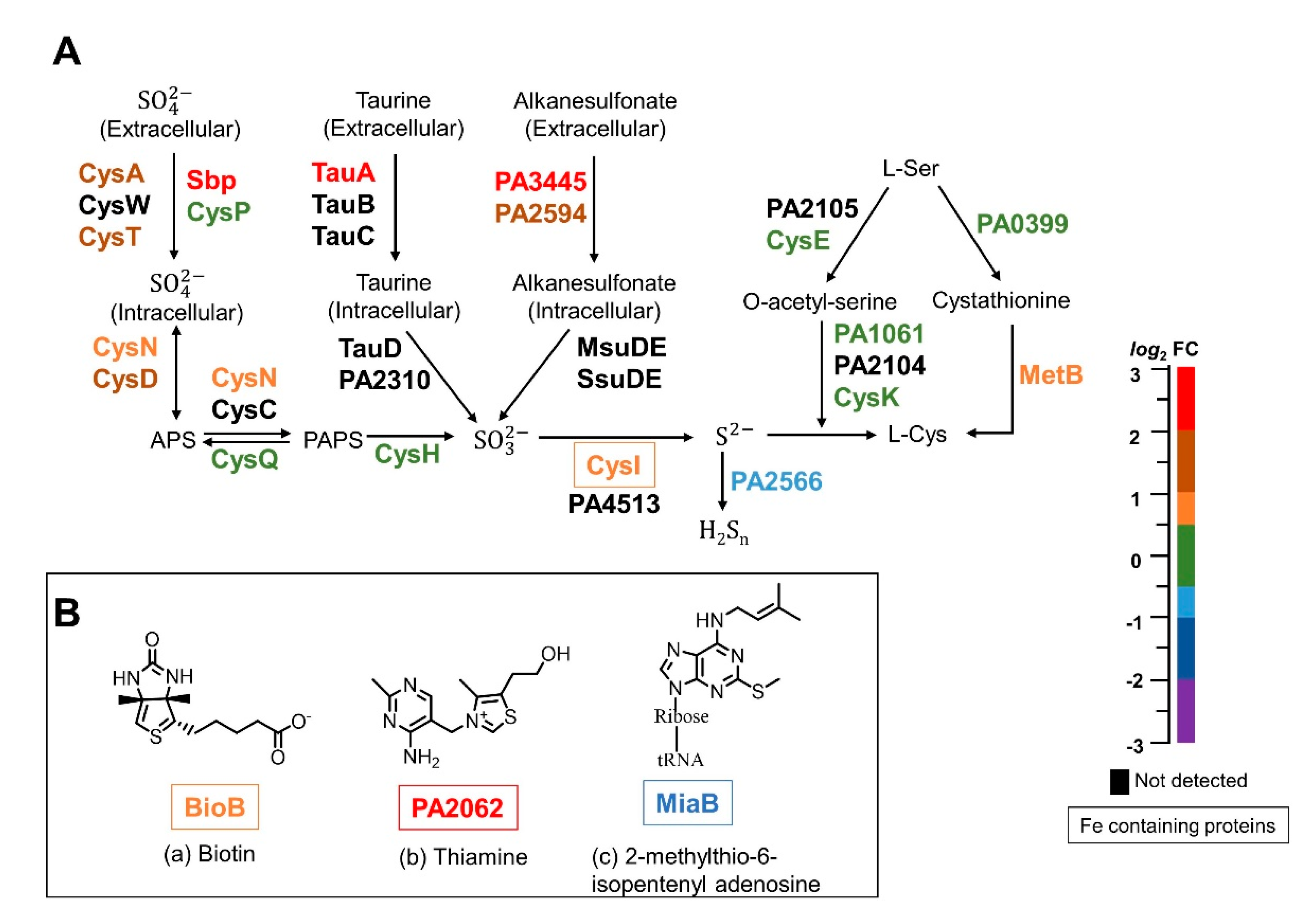 Pathogens 09 00980 g011