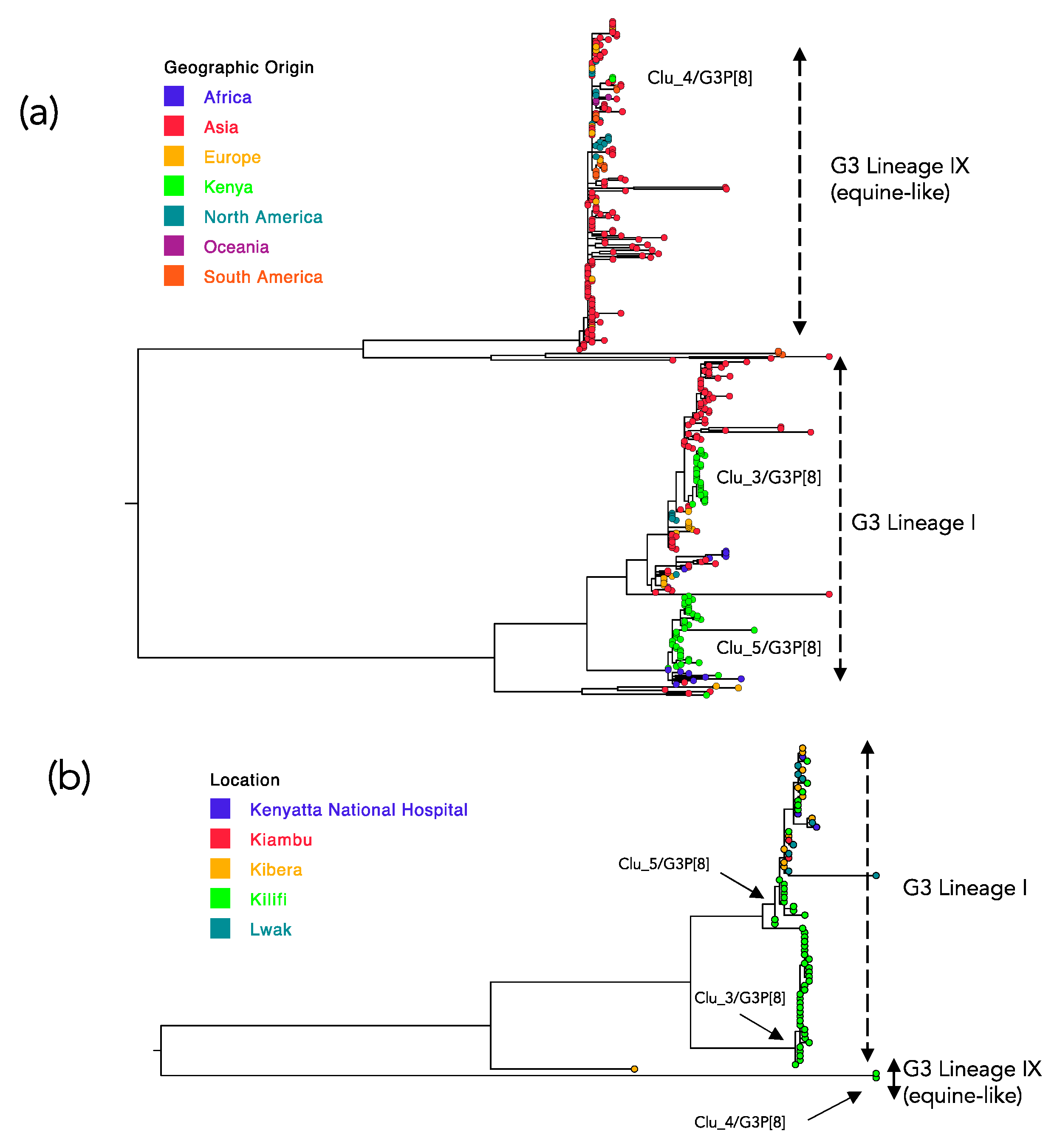 Pathogens 09 00981 g004