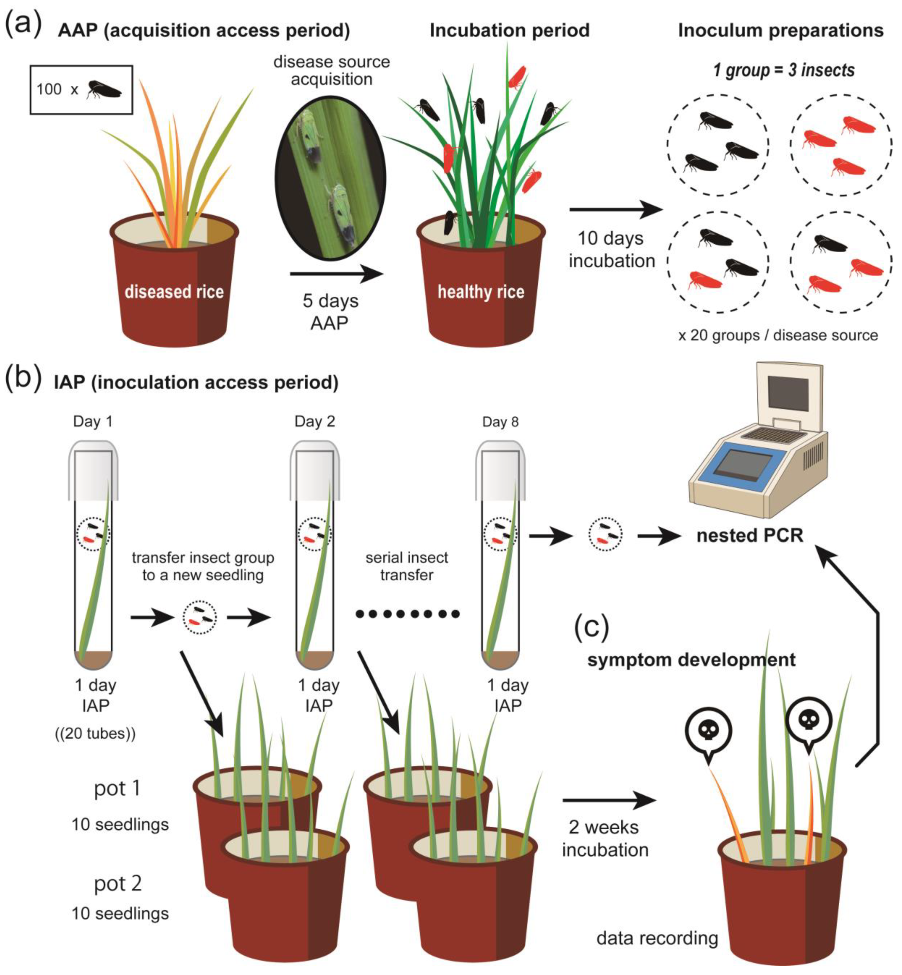 Pathogens 09 00990 g003 Pathogens 09 00990 g003