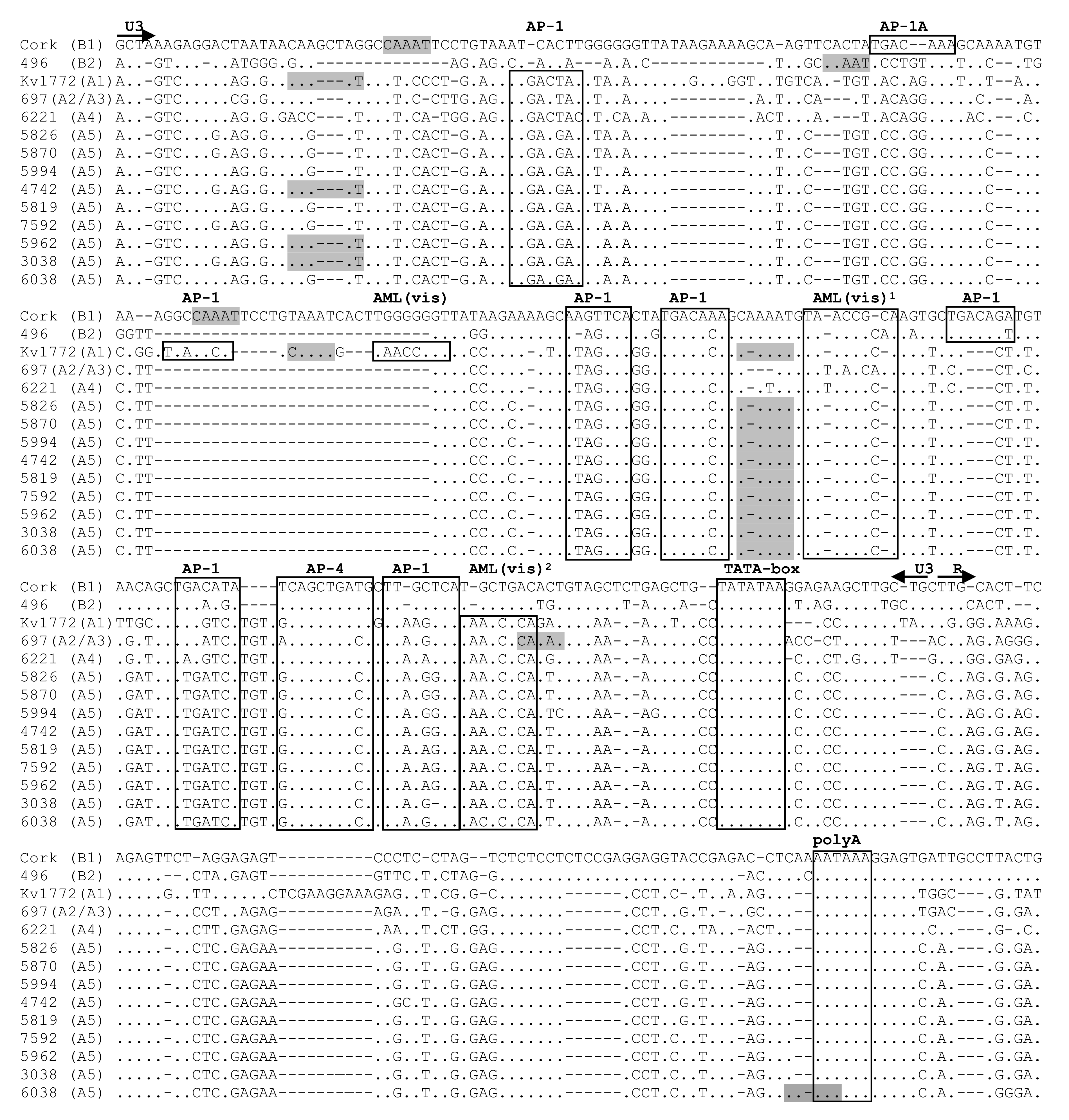Pathogens 09 00992 g004 Pathogens 09 00992 g004