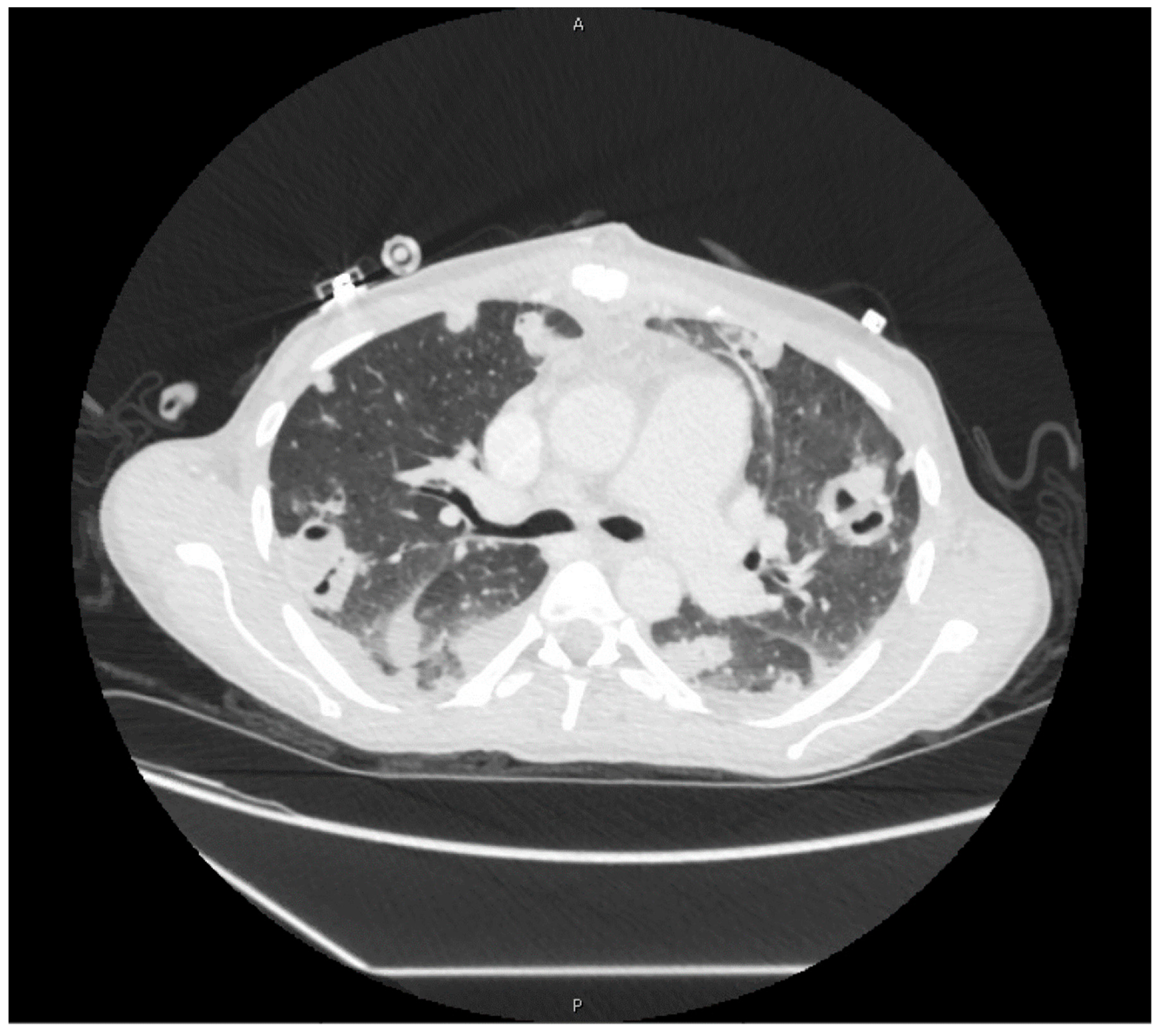 Pathogens 09 00998 g002 Pathogens 09 00998 g002