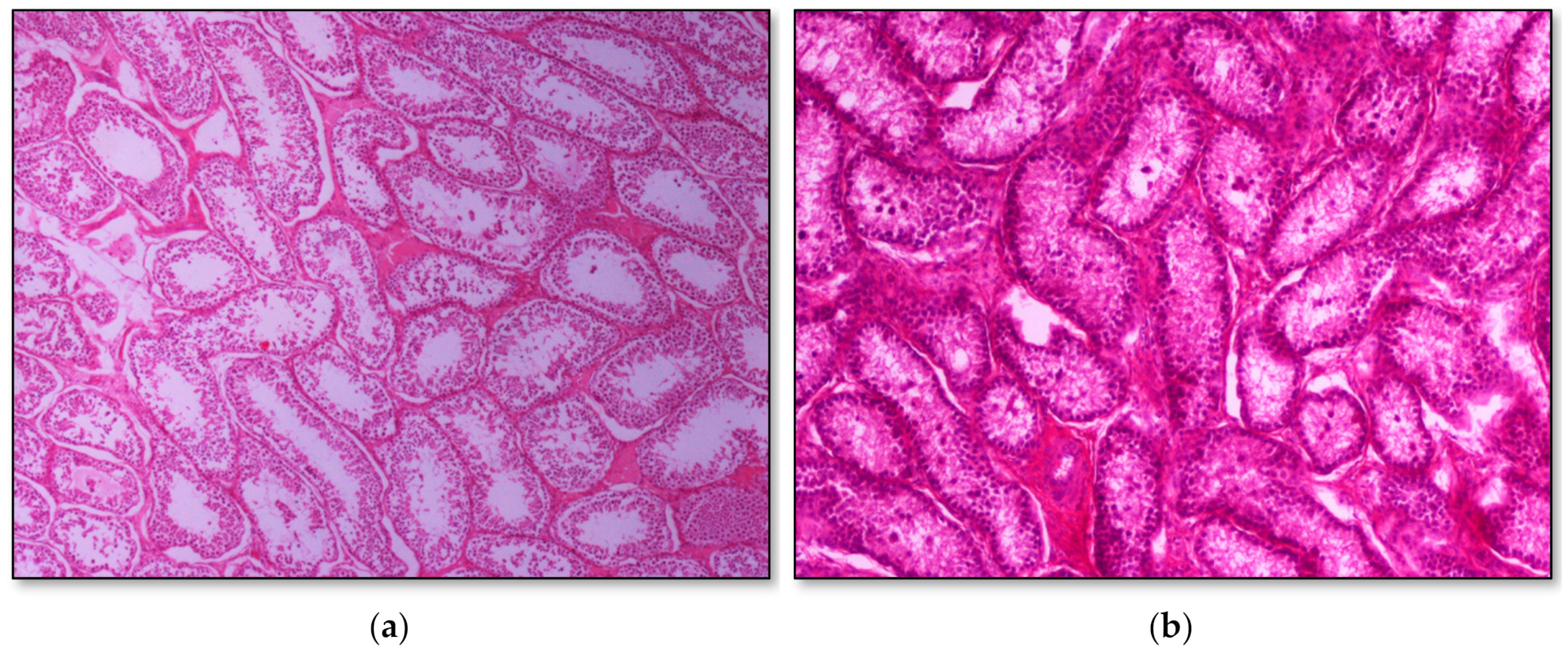 Pathogens 09 01004 g003 Pathogens 09 01004 g003