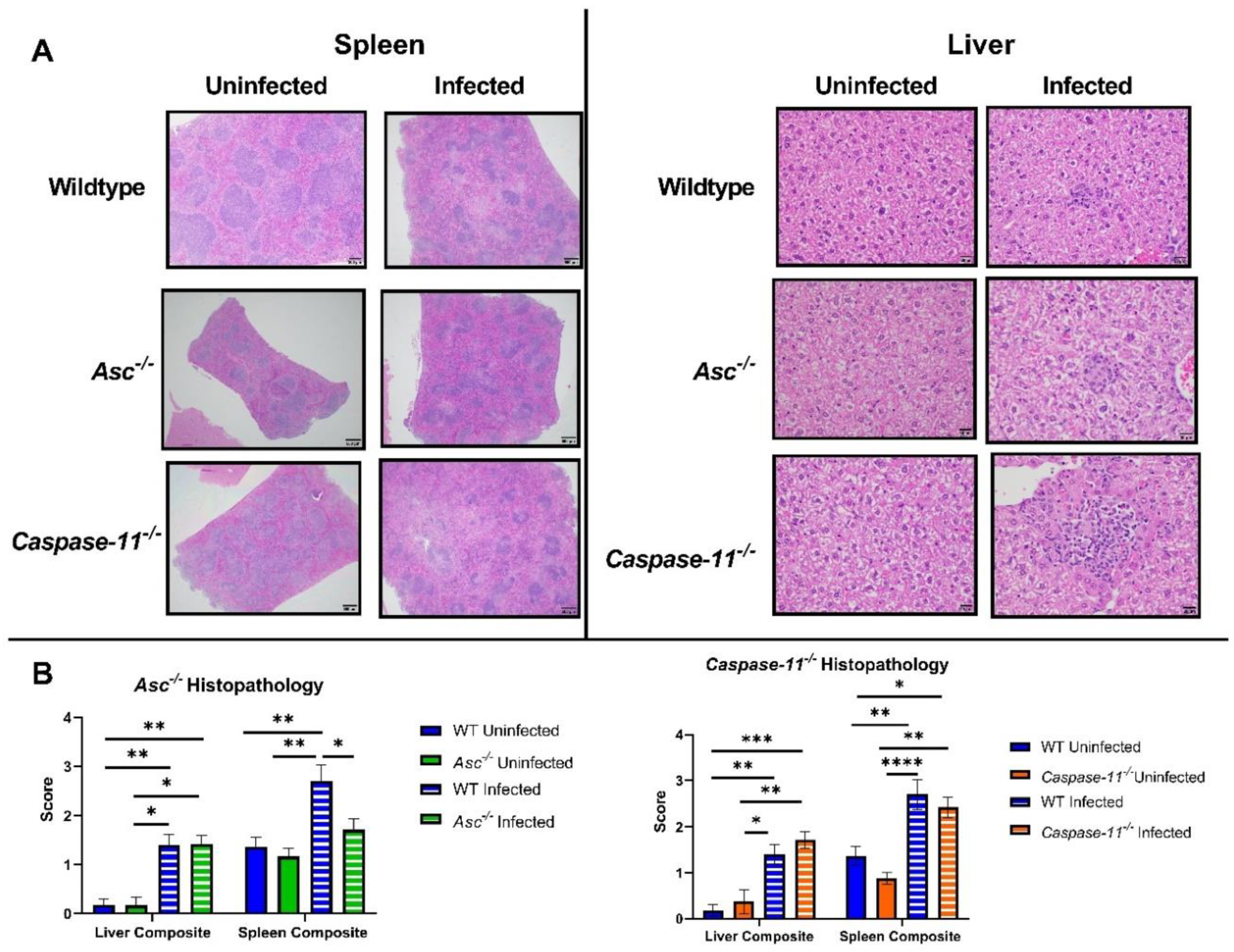 Pathogens 09 01008 g002