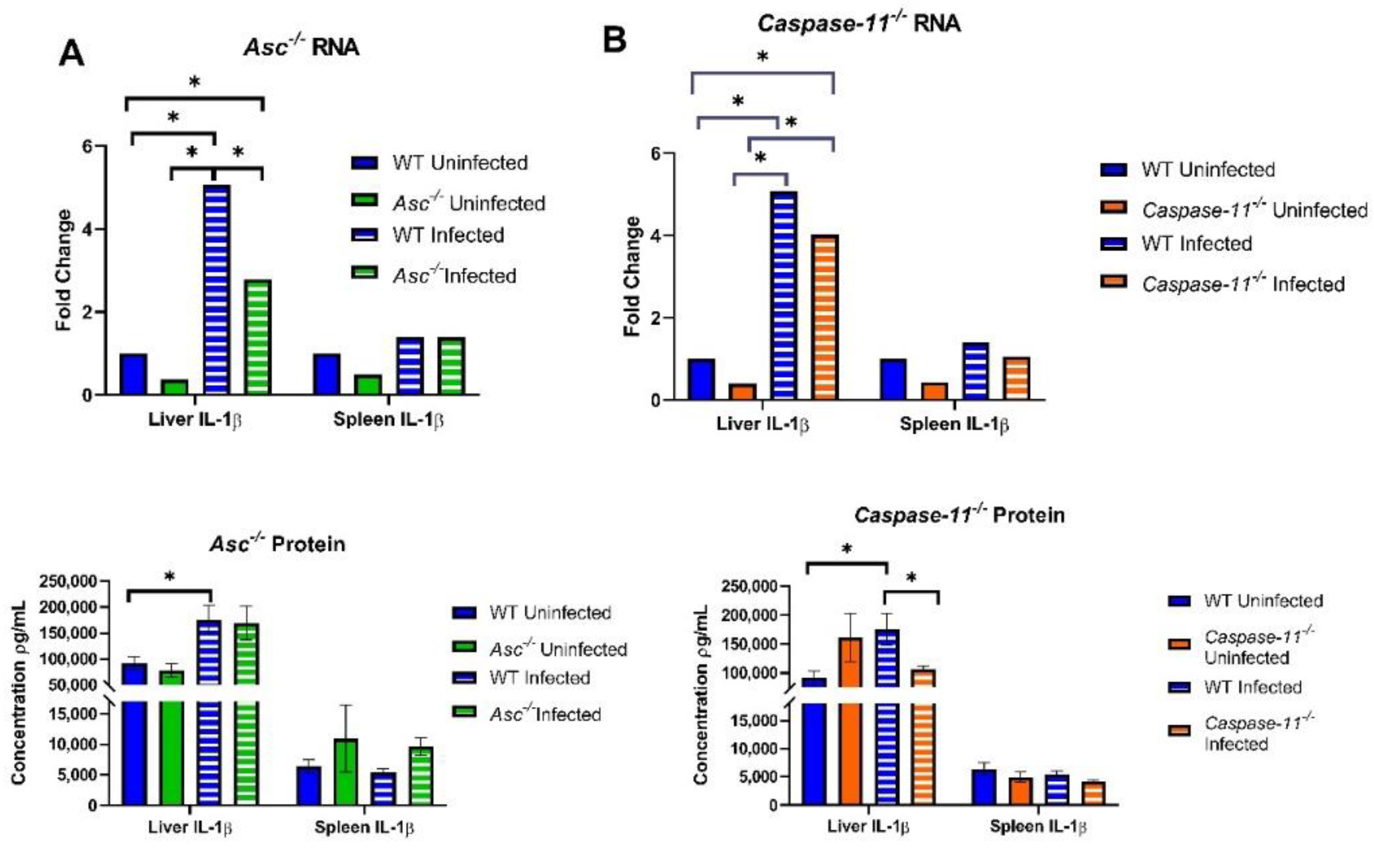 Pathogens 09 01008 g004