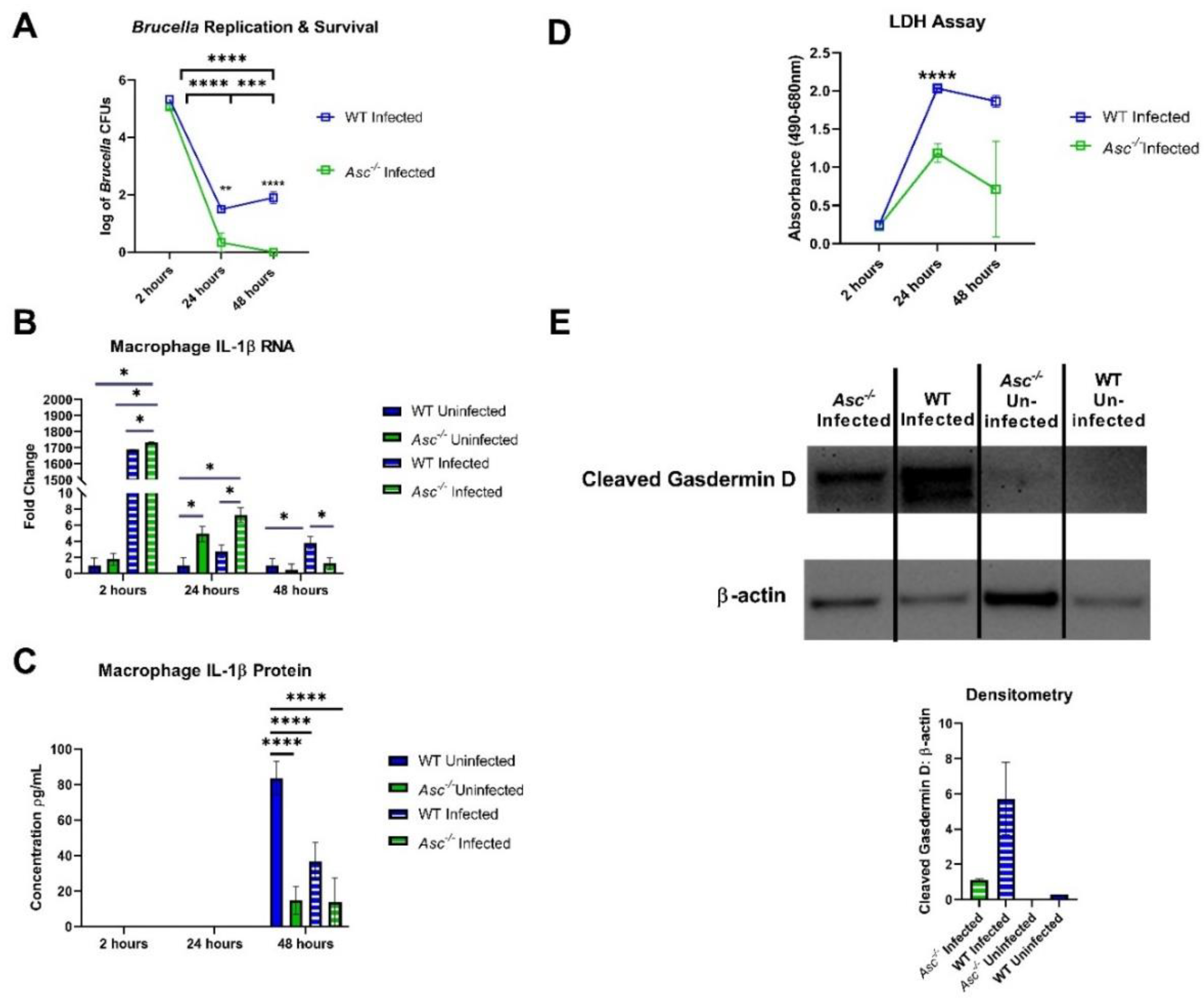 Pathogens 09 01008 g005
