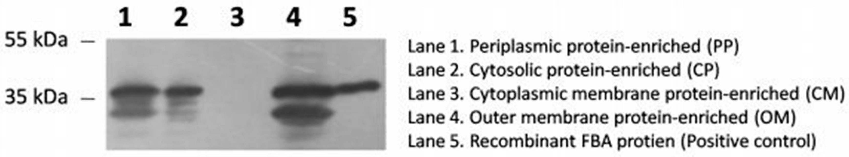 Pathogens 09 01009 g002 Pathogens 09 01009 g002