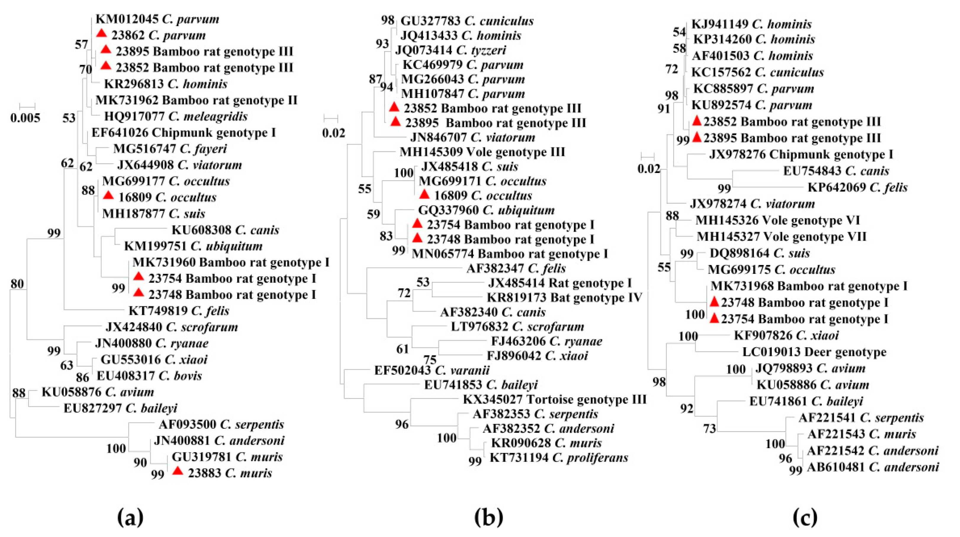Pathogens 09 01018 g001