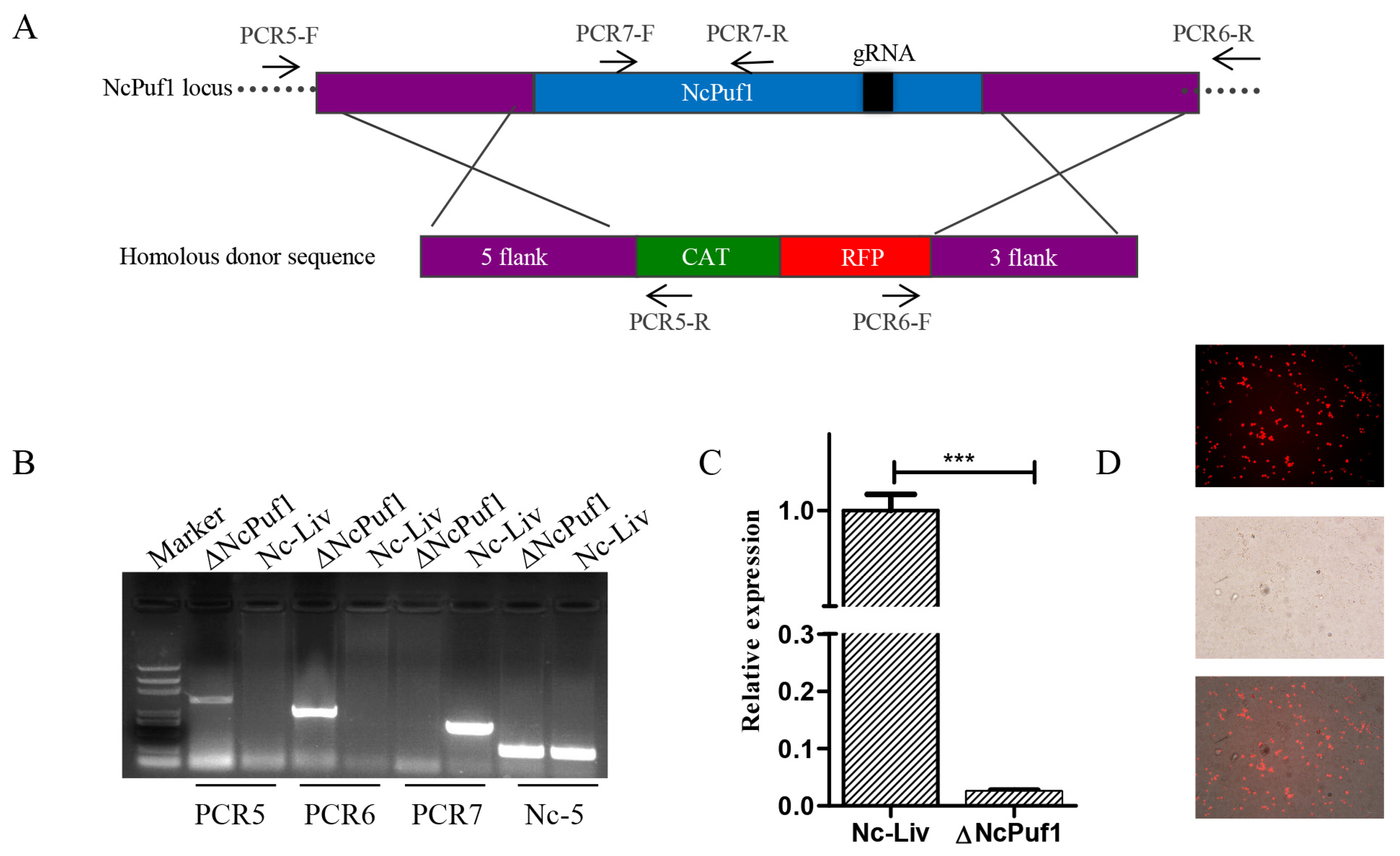 Pathogens 09 01019 g003