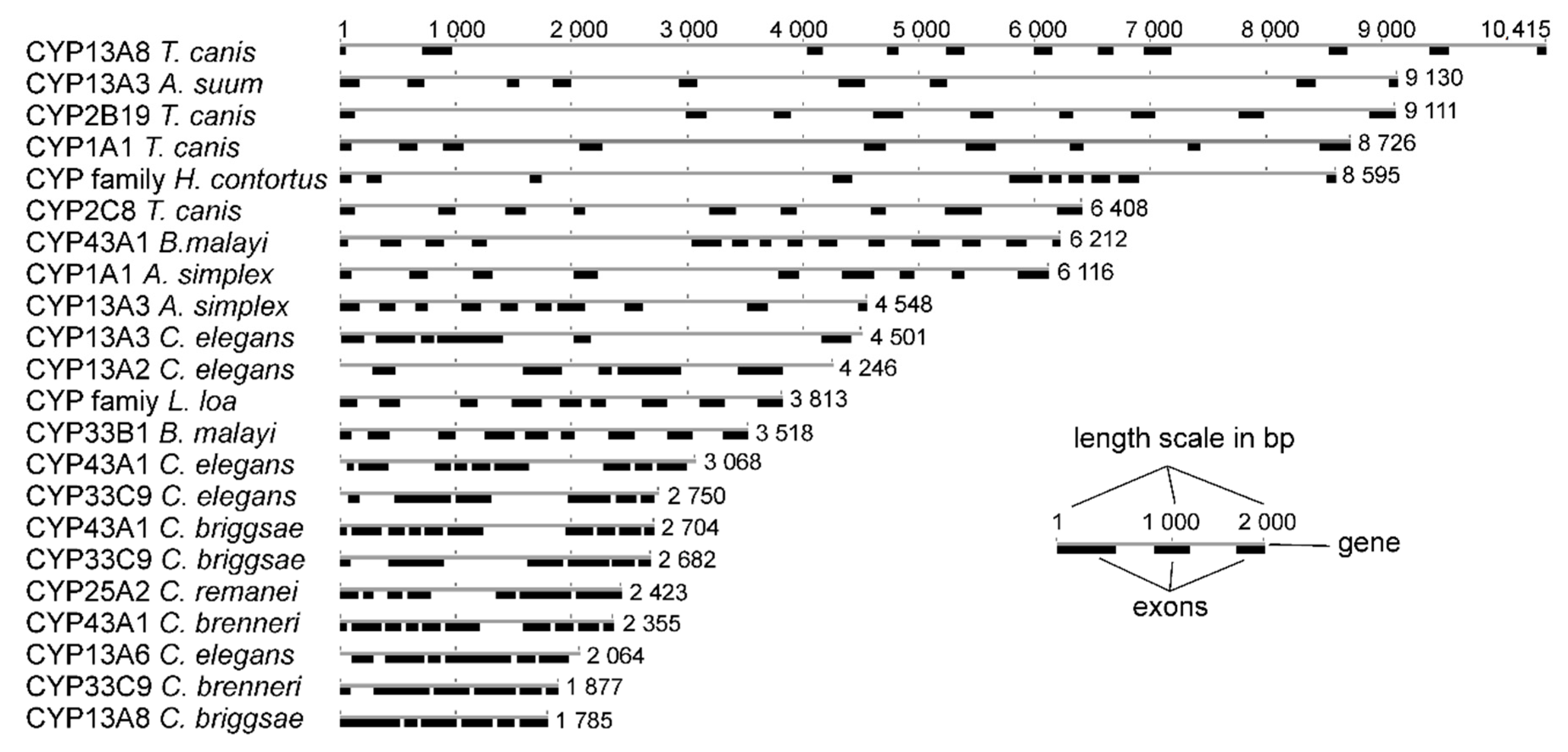 Pathogens 09 01030 g002