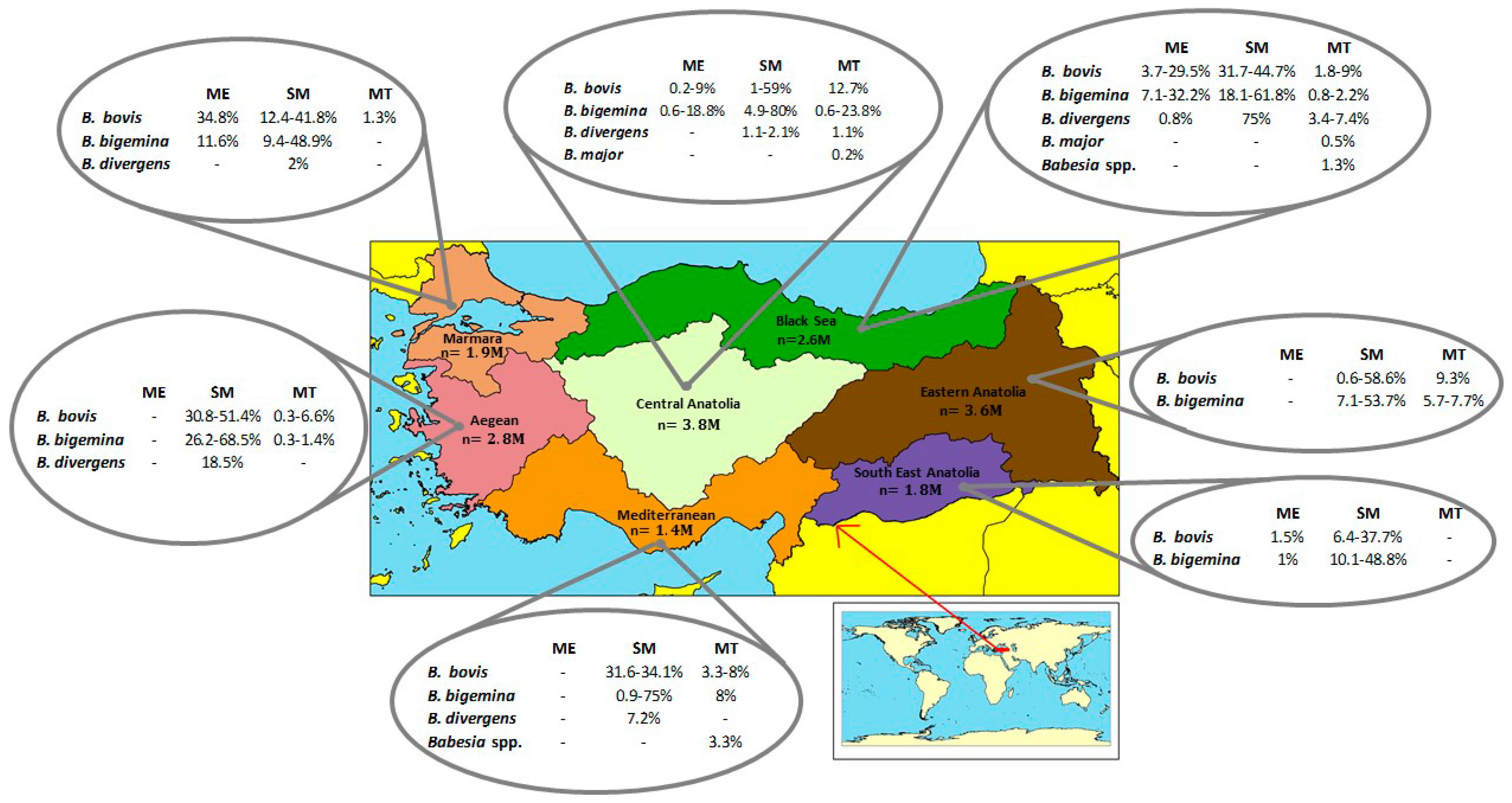 Pathogens Free Full Text Bovine Babesiosis In Turkey Impact Current Gaps And Opportunities For Intervention Html