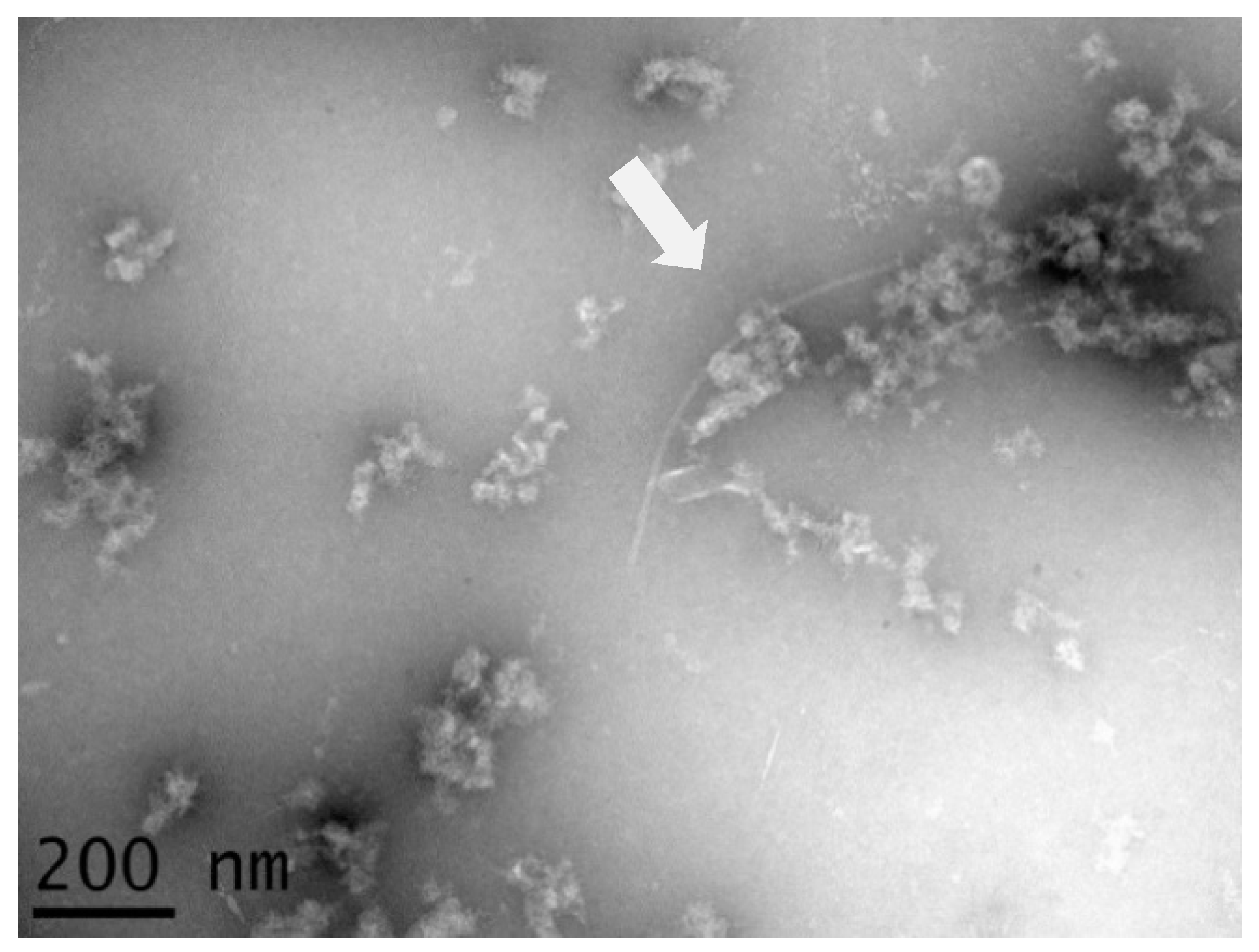 Pathogens 09 01045 g001 Pathogens 09 01045 g001