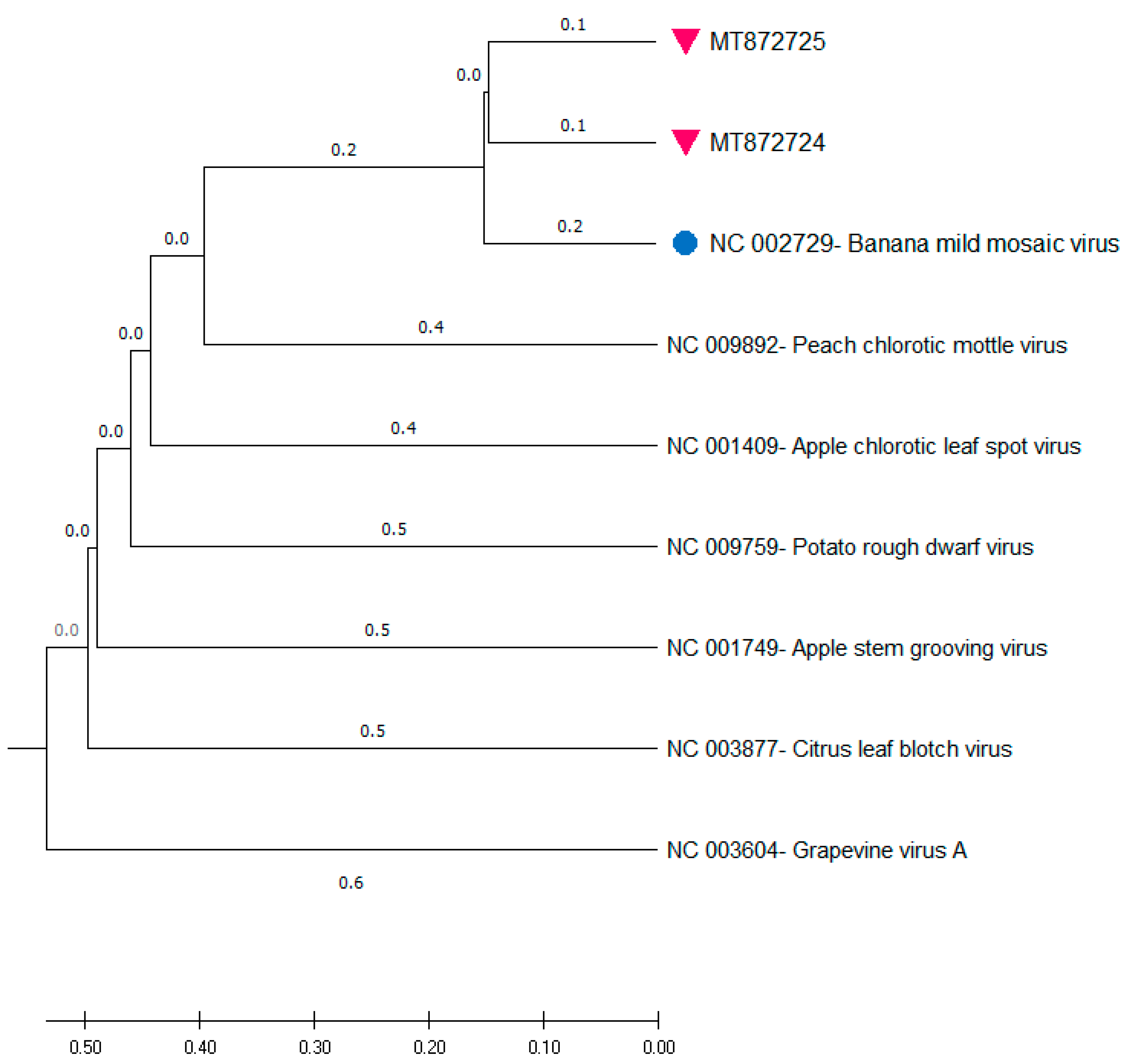Pathogens 09 01045 g002 Pathogens 09 01045 g002
