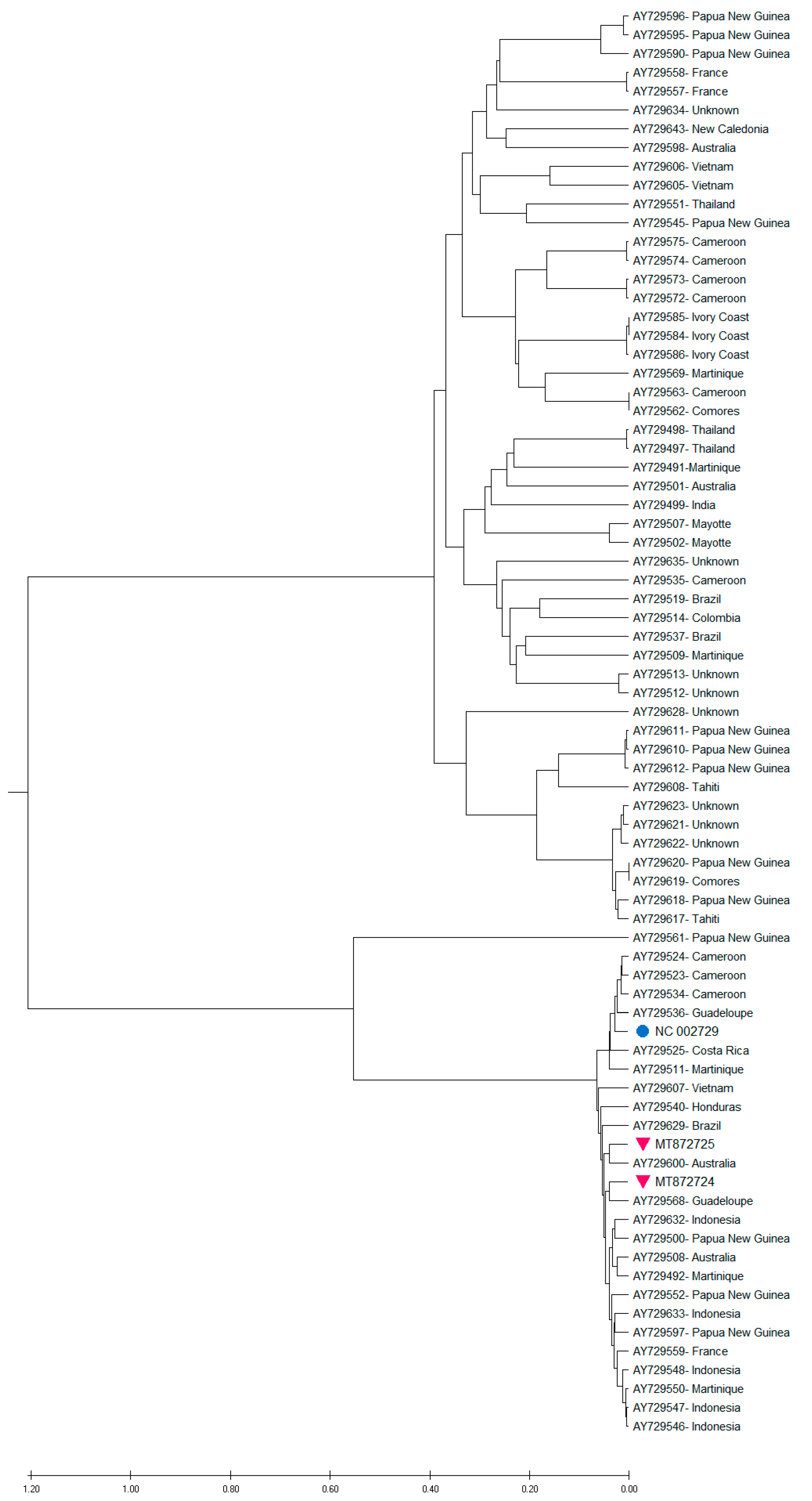 Pathogens 09 01045 g003 Pathogens 09 01045 g003