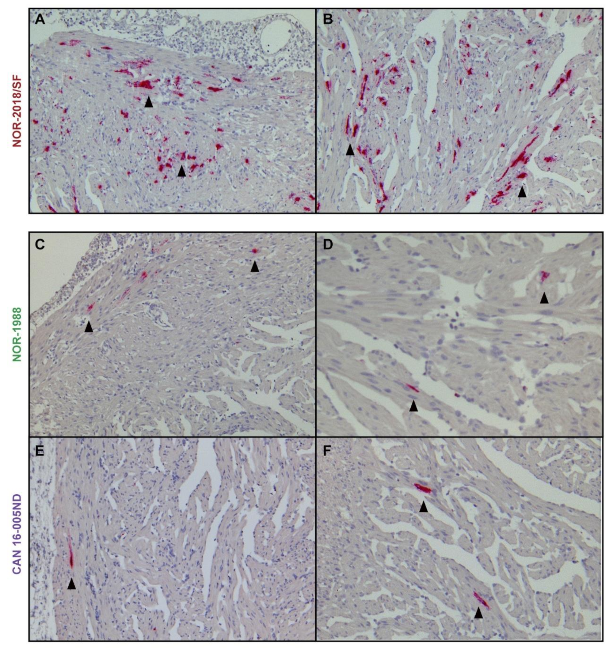 Pathogens 09 01050 g007