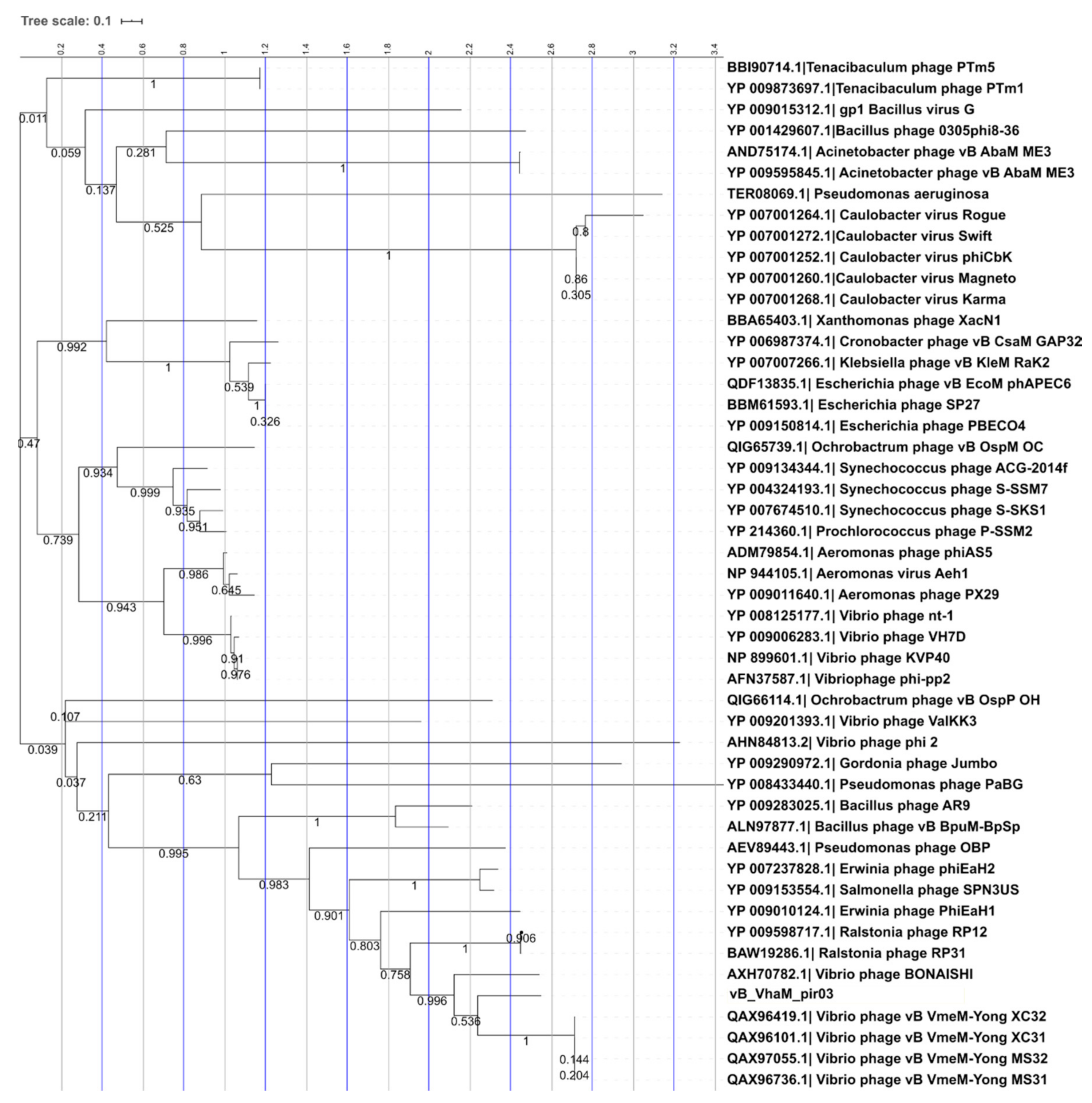 Pathogens 09 01051 g008