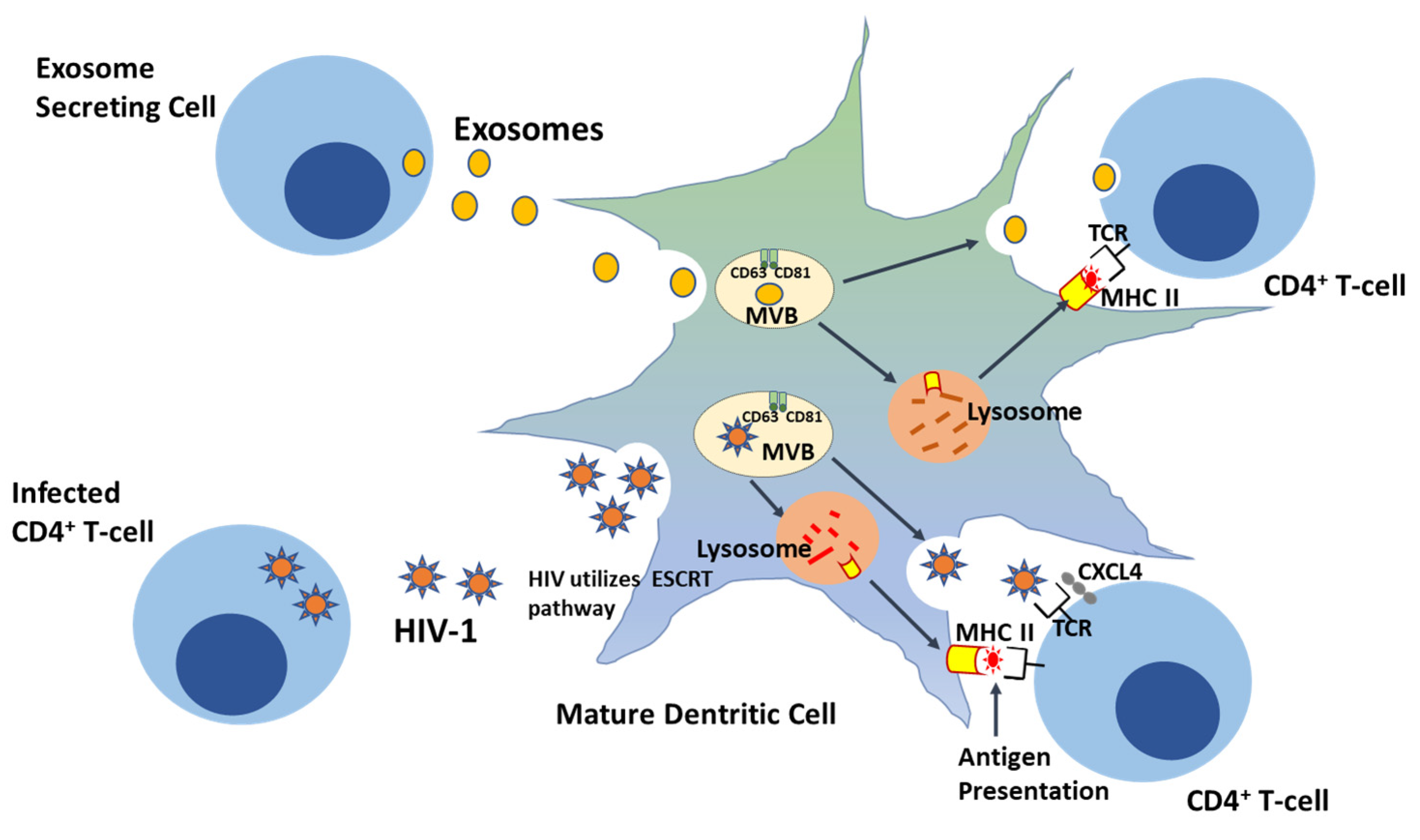 Pathogens 09 01056 g001 Pathogens 09 01056 g001