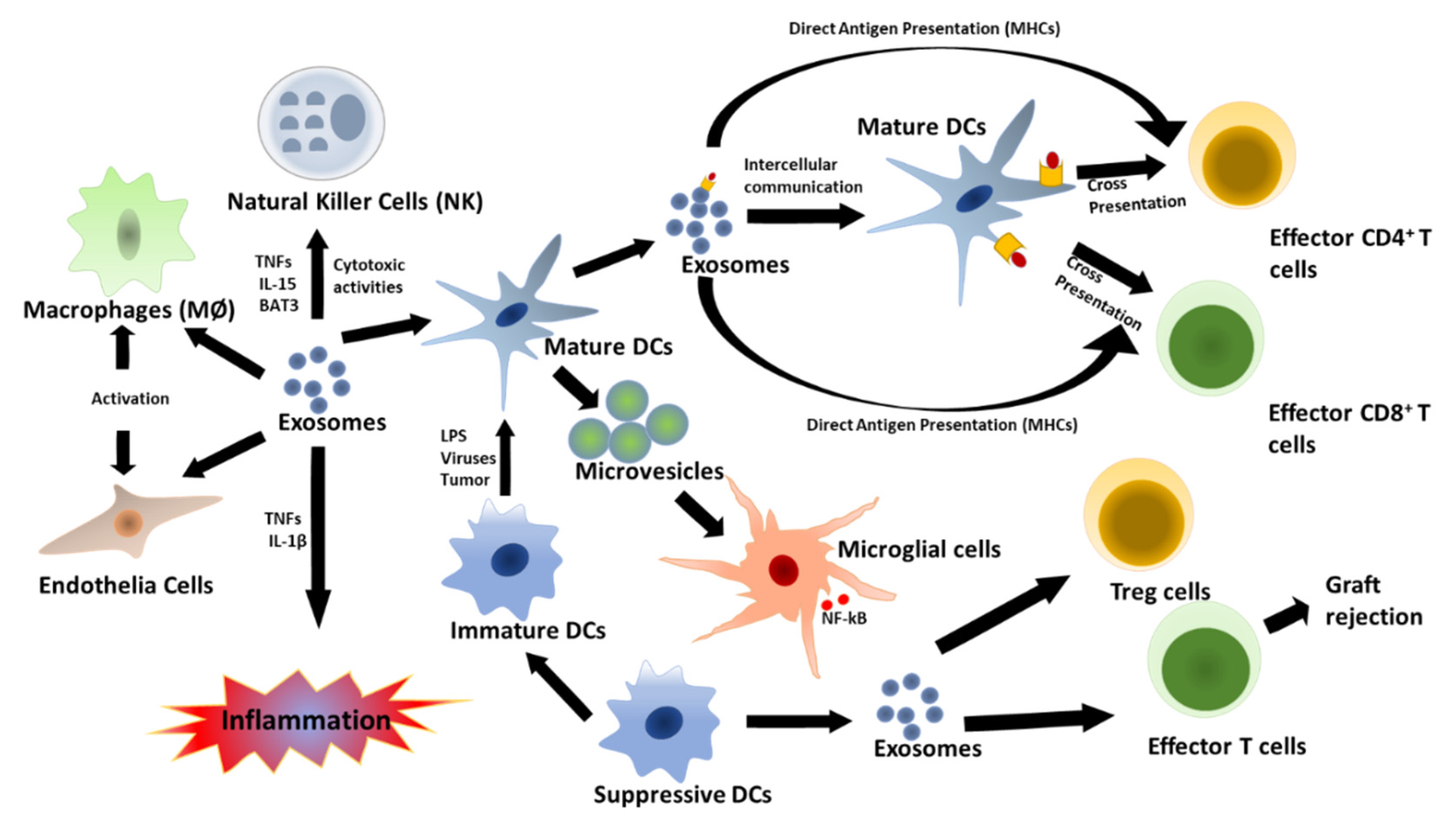 Pathogens 09 01056 g002 Pathogens 09 01056 g002