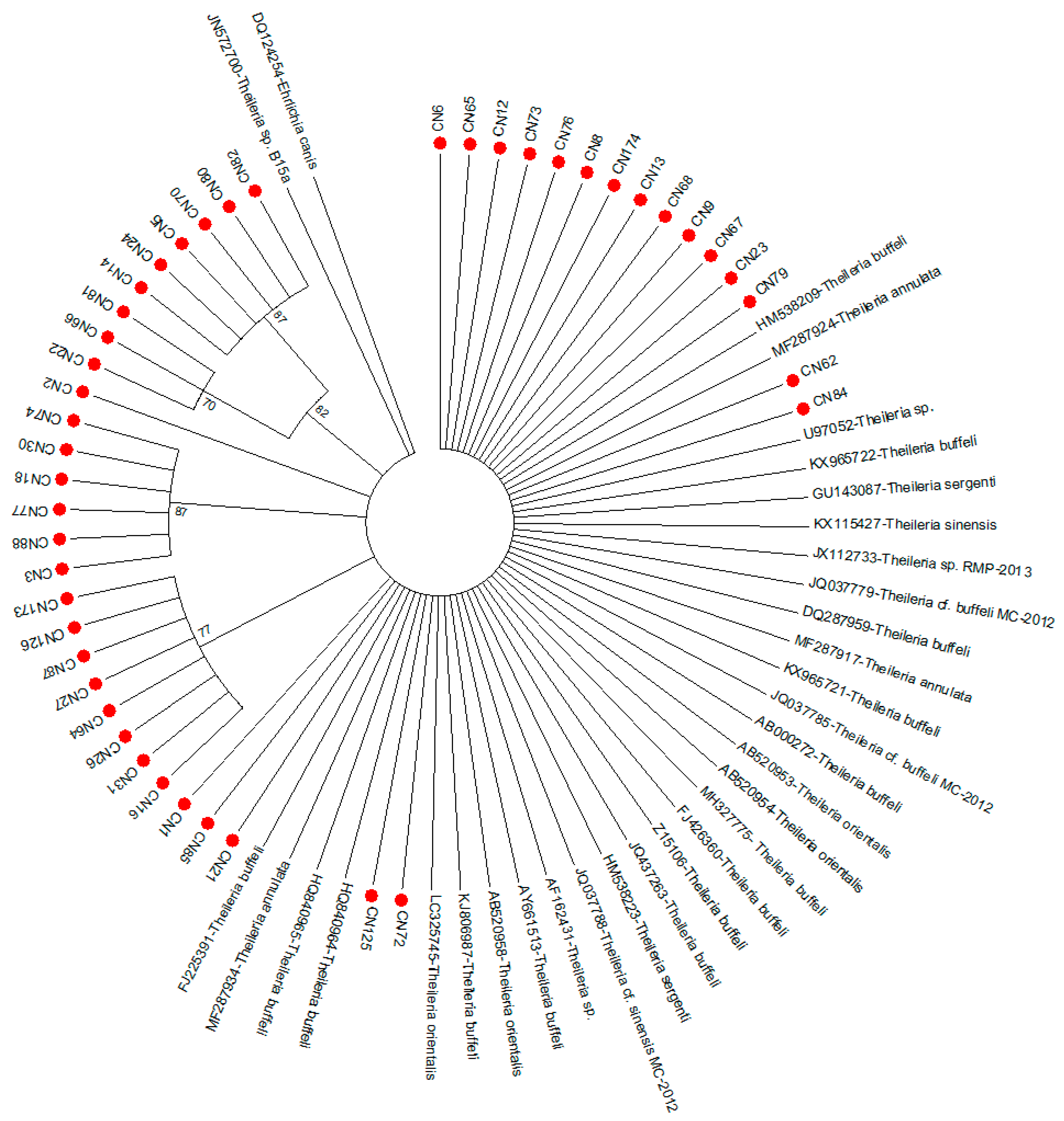 Pathogens 09 01061 g004