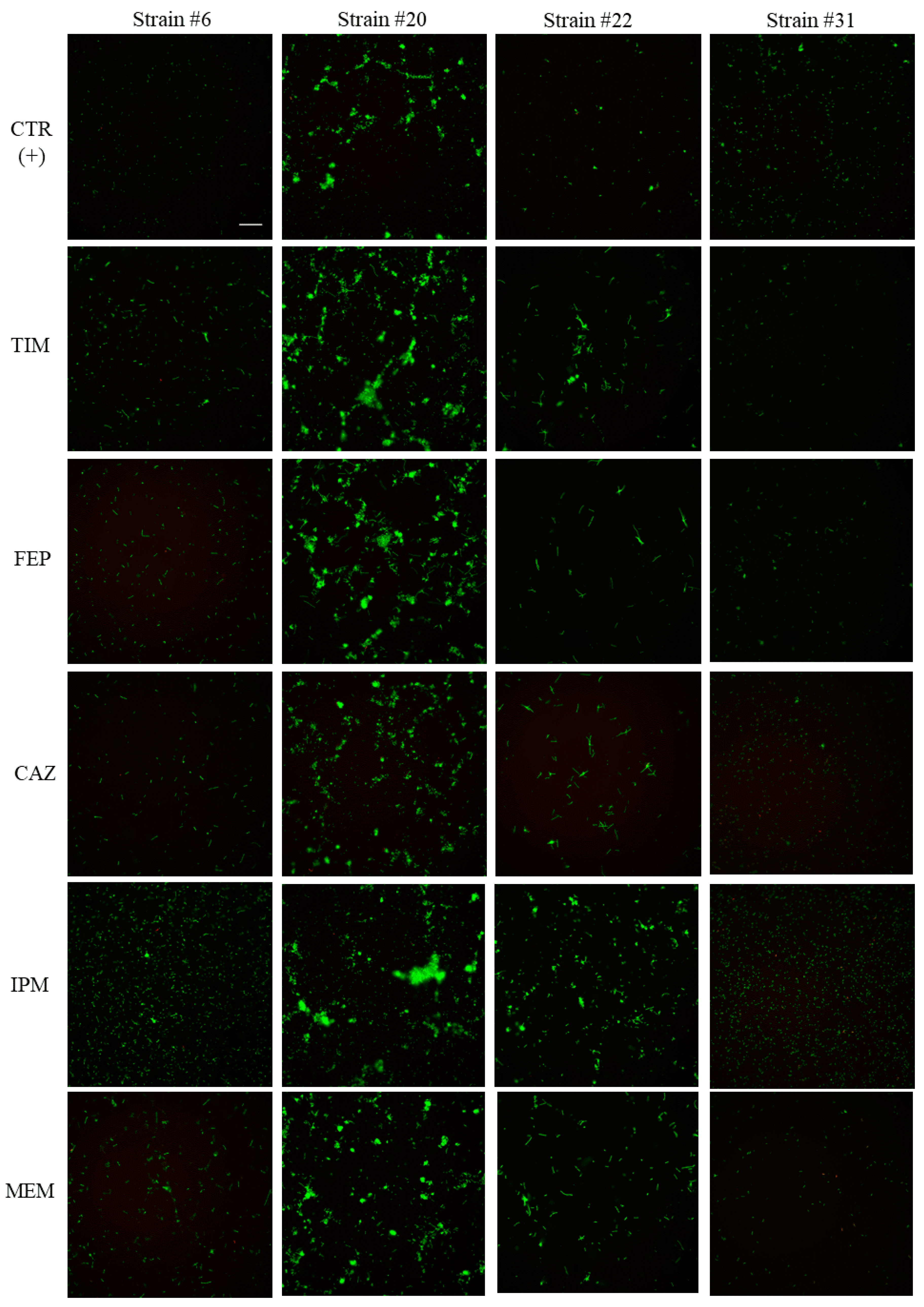 Pathogens 09 01065 g003