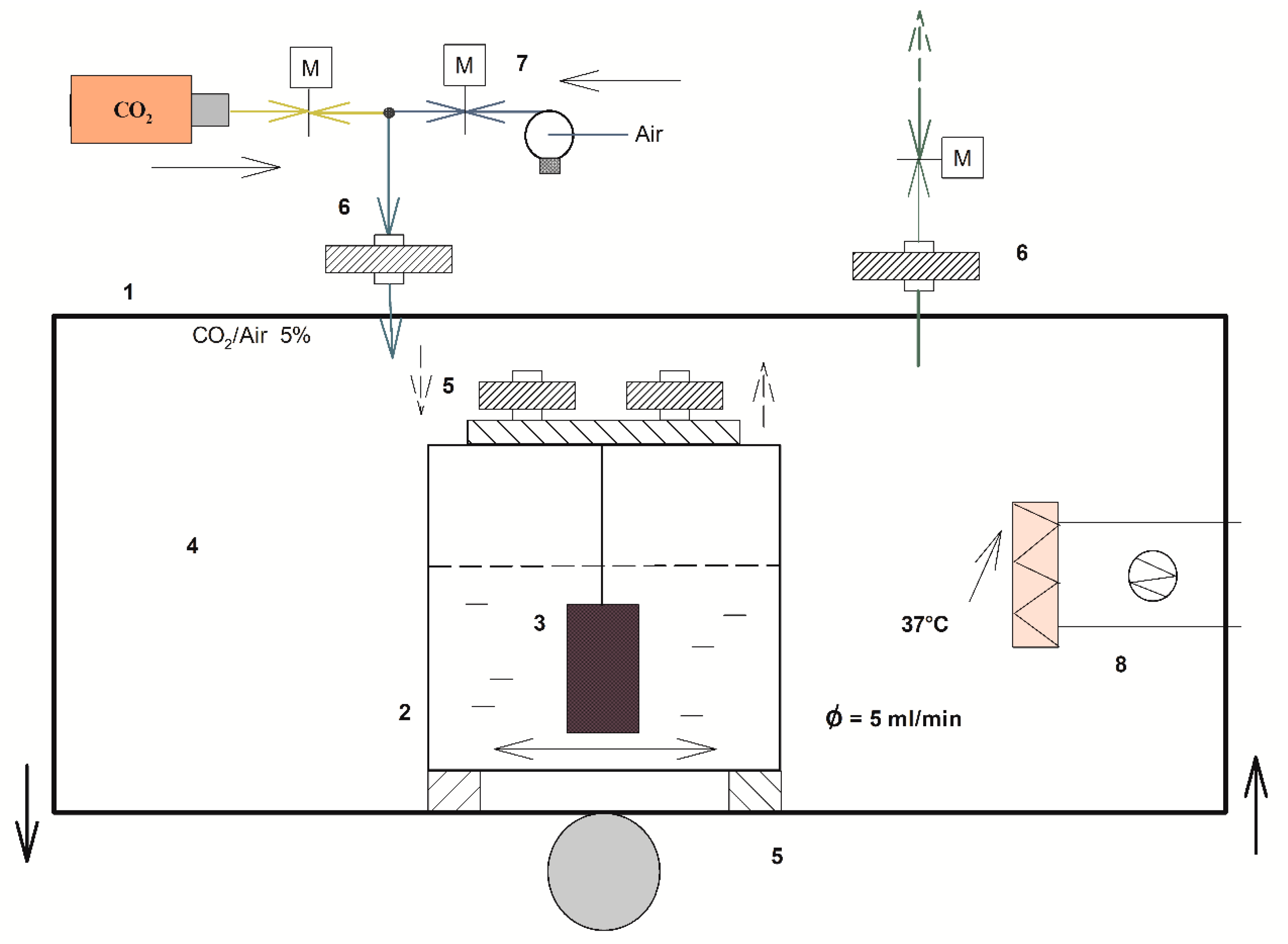 Pathogens 09 01069 g001