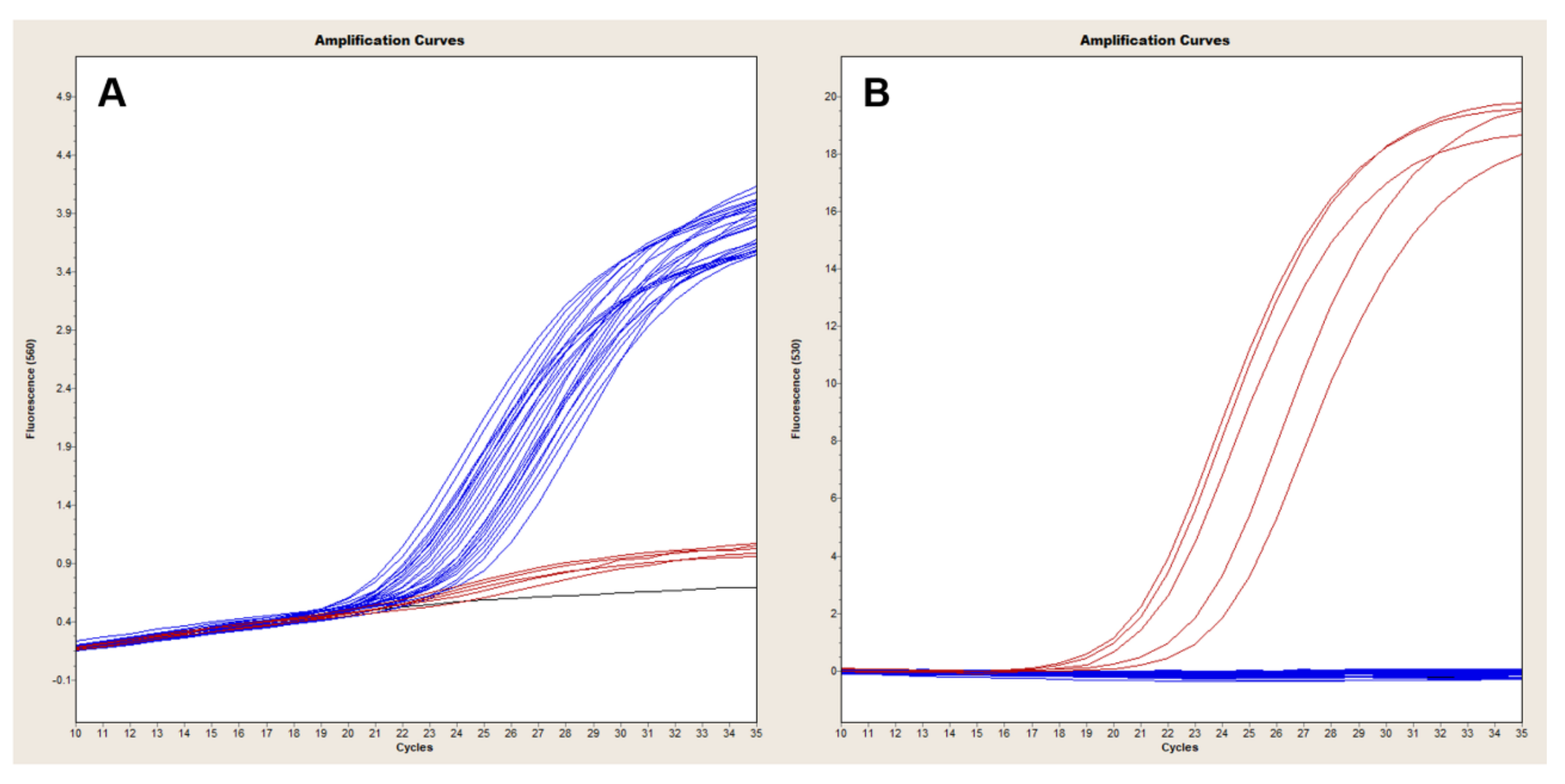 Pathogens 09 01074 g005 Pathogens 09 01074 g005