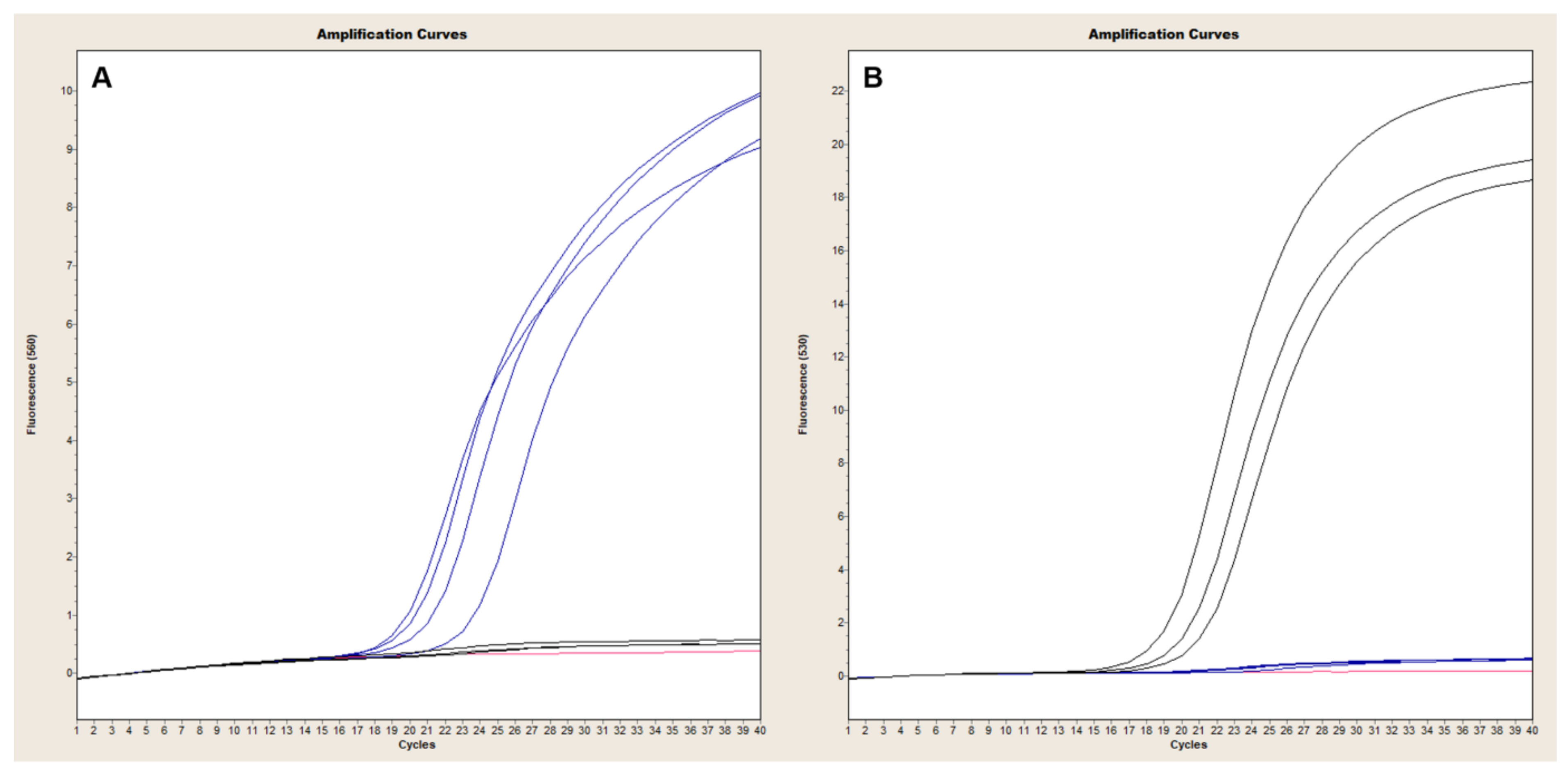 Pathogens 09 01074 g006 Pathogens 09 01074 g006