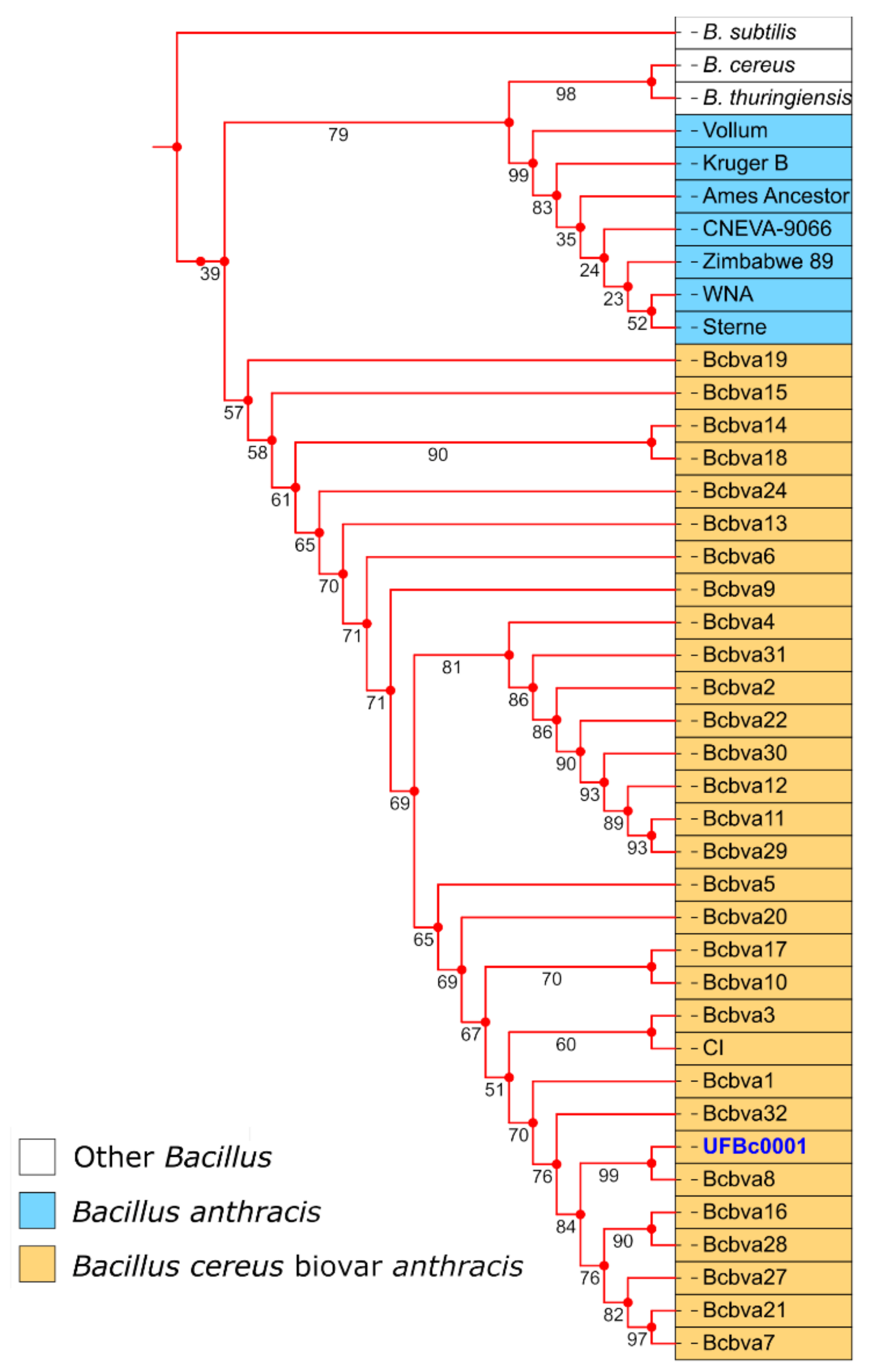 Pathogens 09 01074 g007 Pathogens 09 01074 g007