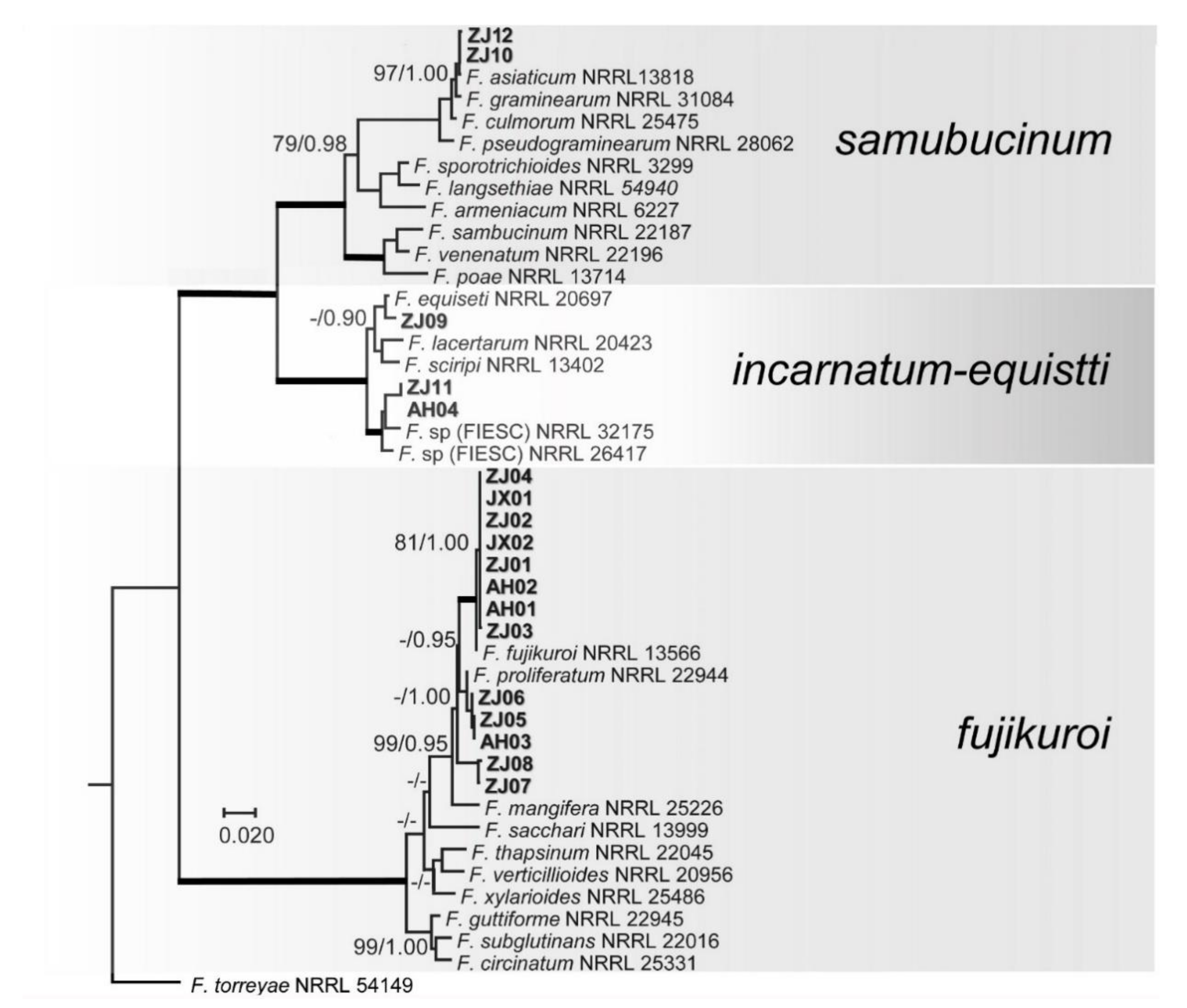 Pathogens 10 00001 g002 Pathogens 10 00001 g002