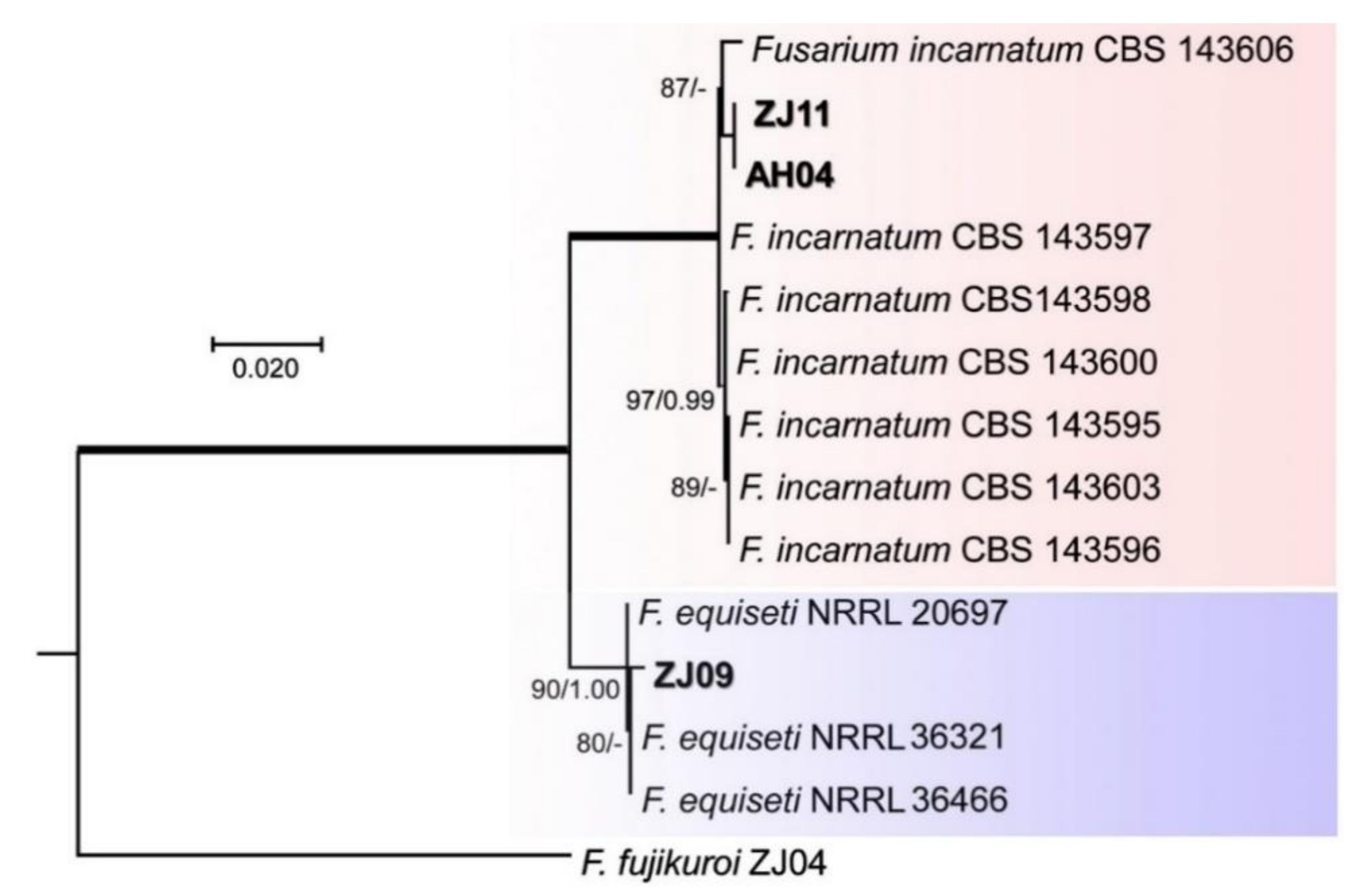 Pathogens 10 00001 g004 Pathogens 10 00001 g004