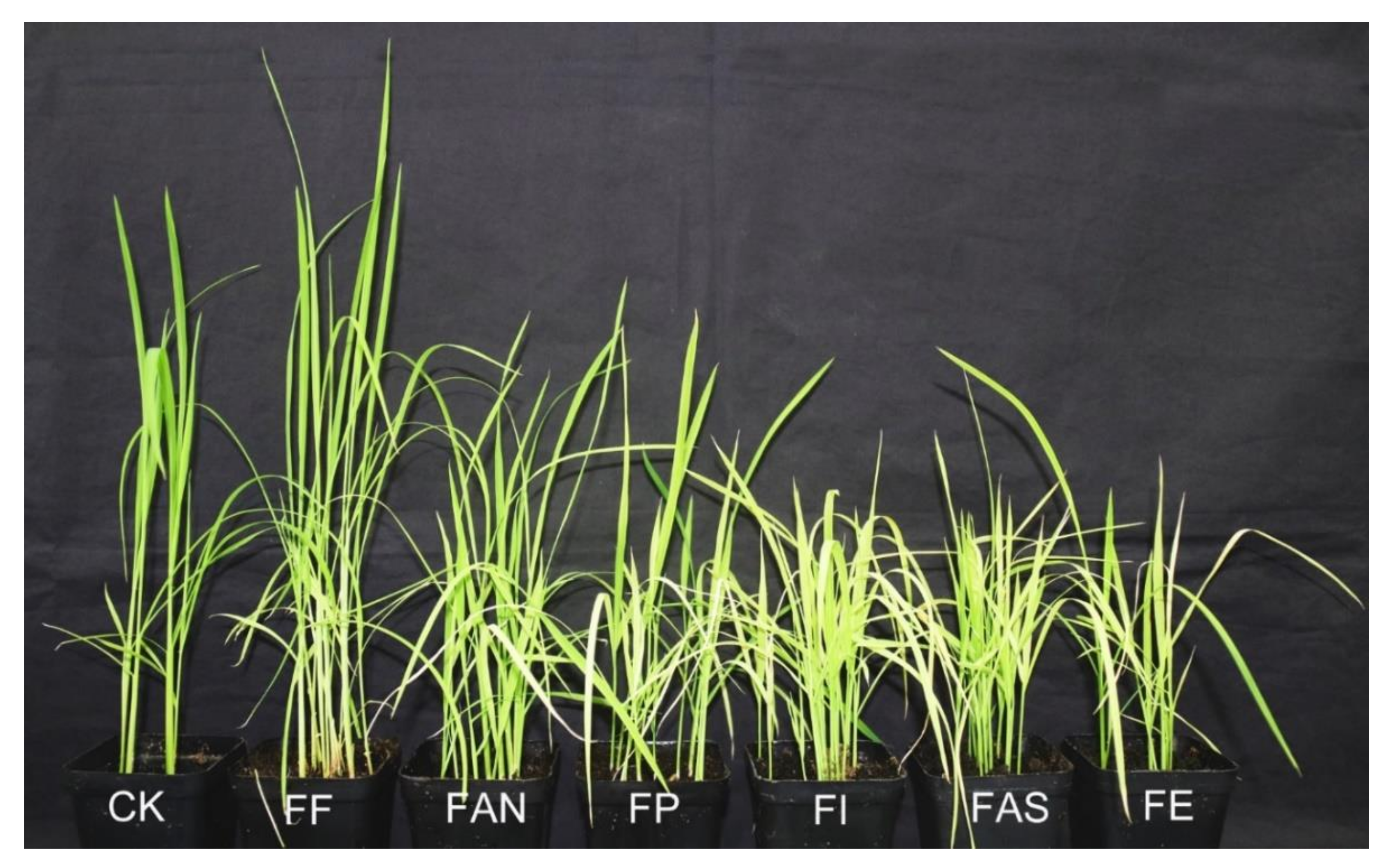 Pathogens 10 00001 g006 Pathogens 10 00001 g006