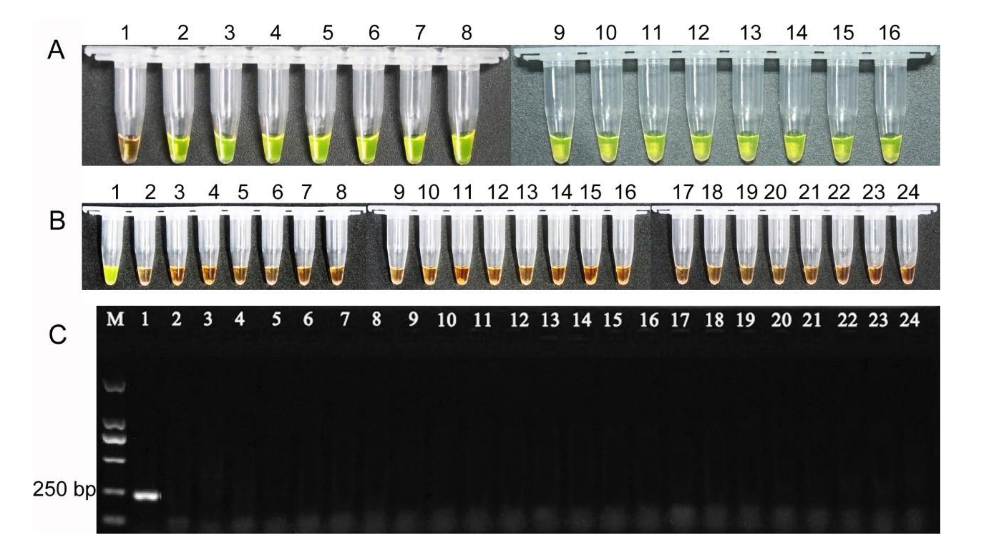 Pathogens 10 00001 g007 Pathogens 10 00001 g007