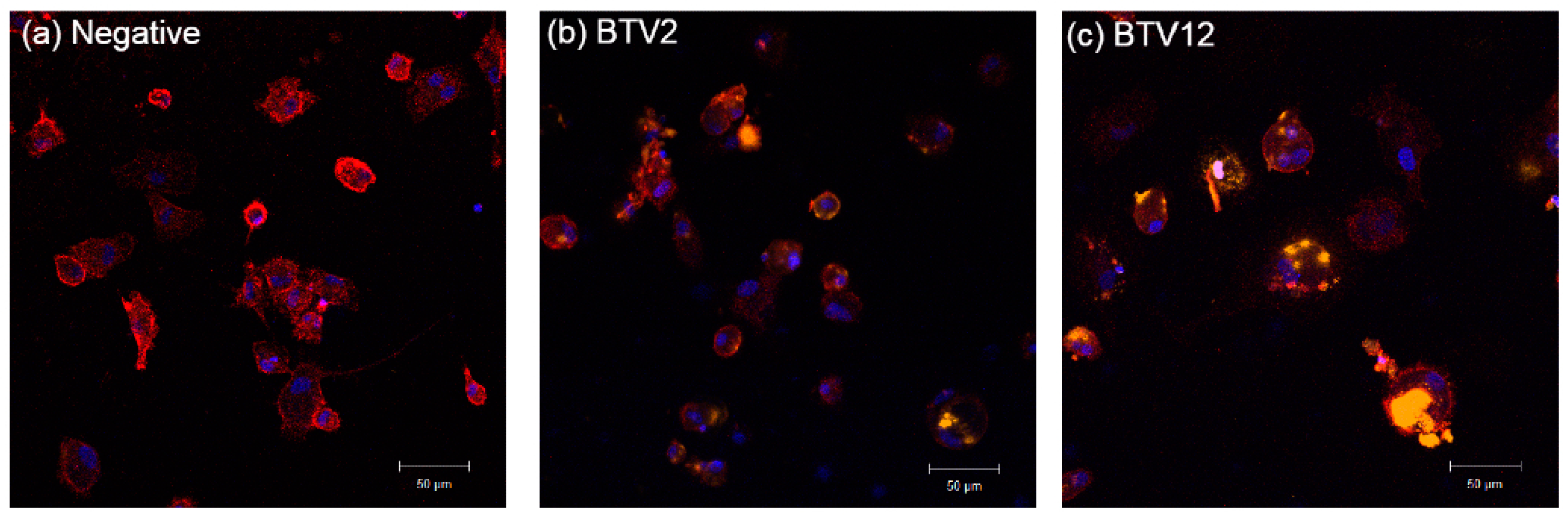 Pathogens 10 00003 g003 Pathogens 10 00003 g003