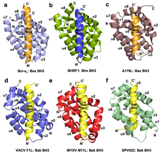 Pathogens 10 00006 g001 550